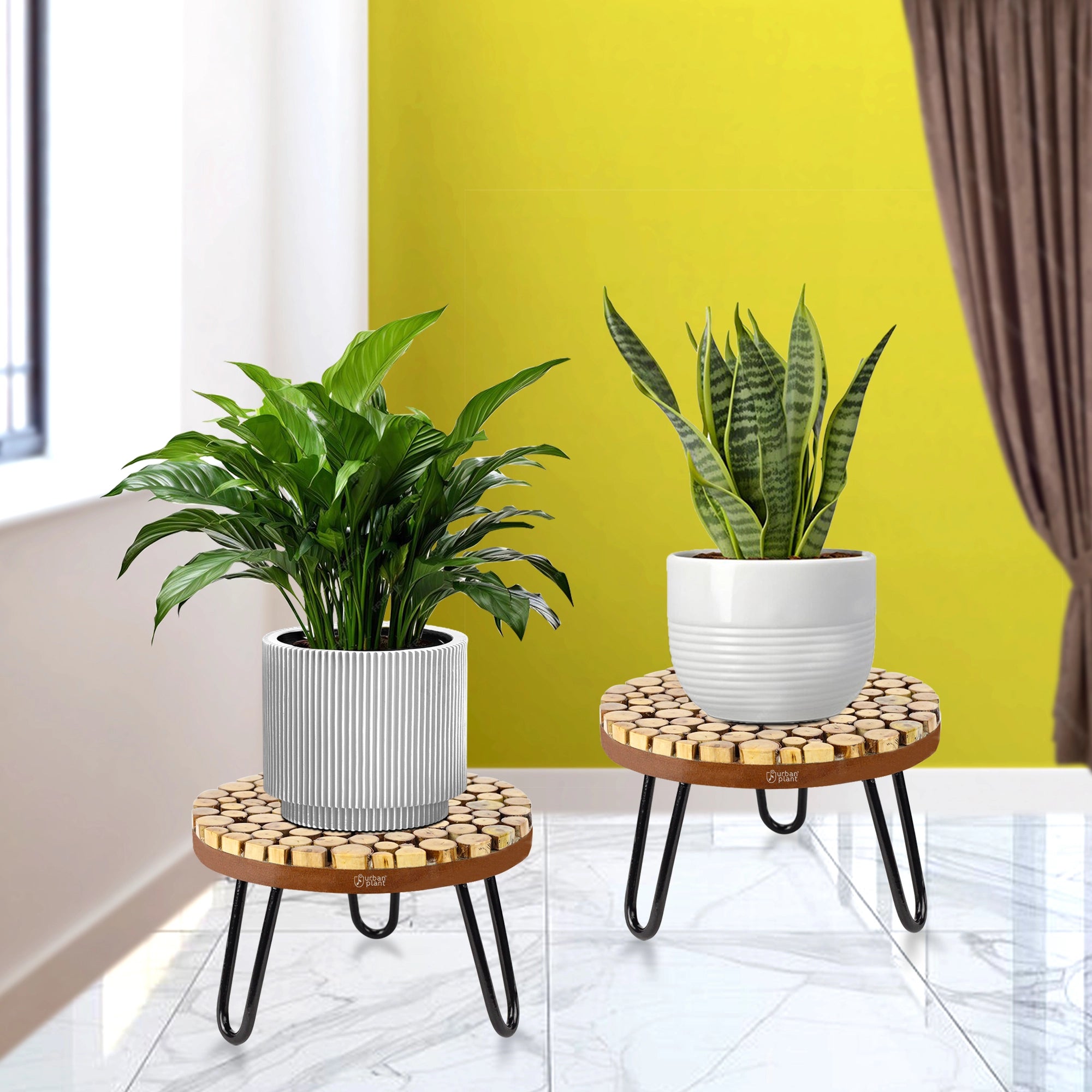 Urban Plant Verdura Wooden Stand for Plant | Pack of 2 Urban Plant