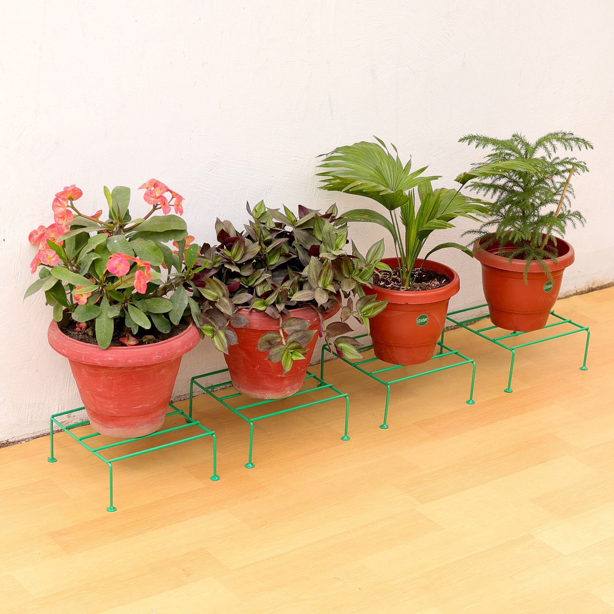 Urban Plant Titanium Stand (Set of 6 - Green) Metal Stand Urban Plant