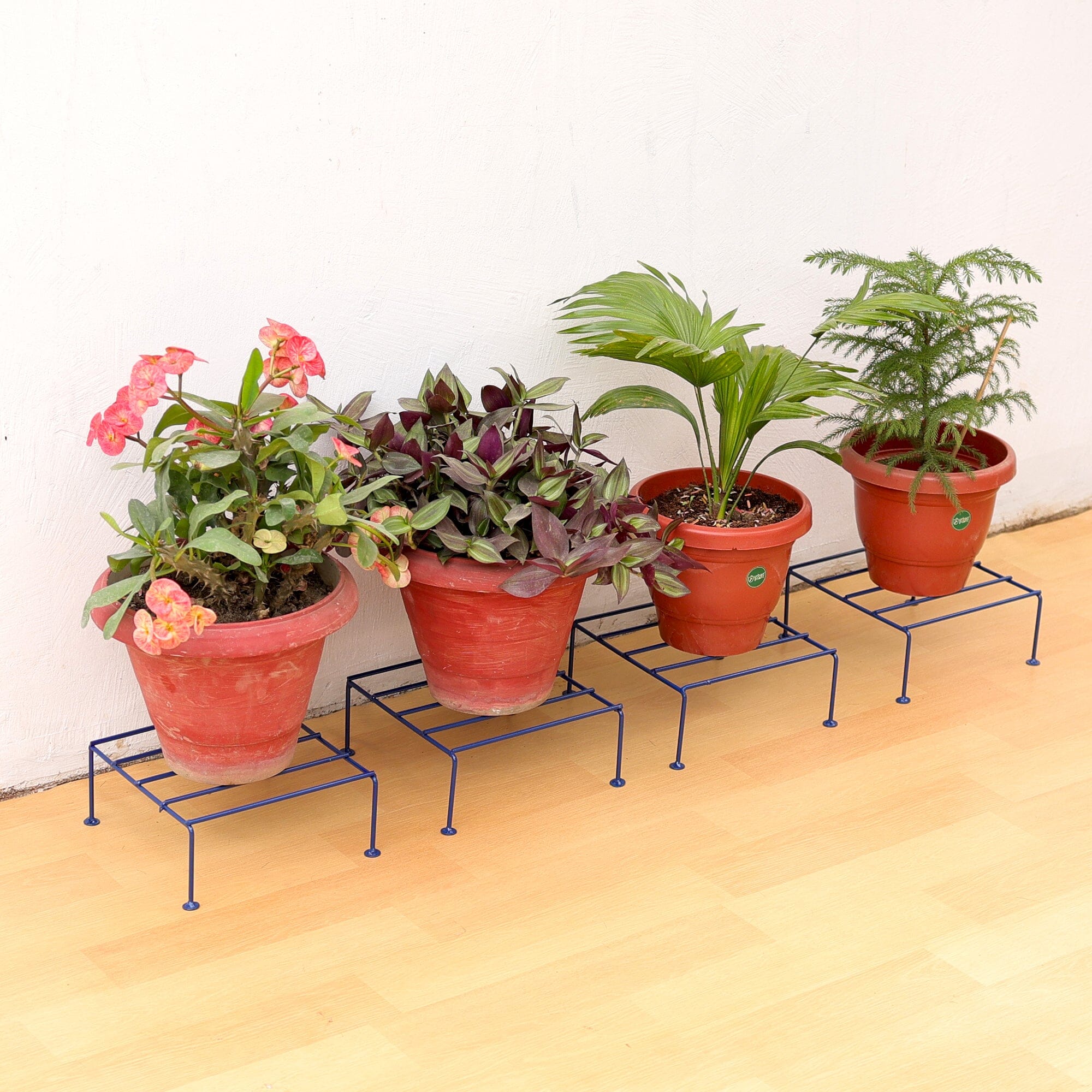 Urban Plant Titanium Stand (Set of 6 - Blue) Metal Stand Urban Plant