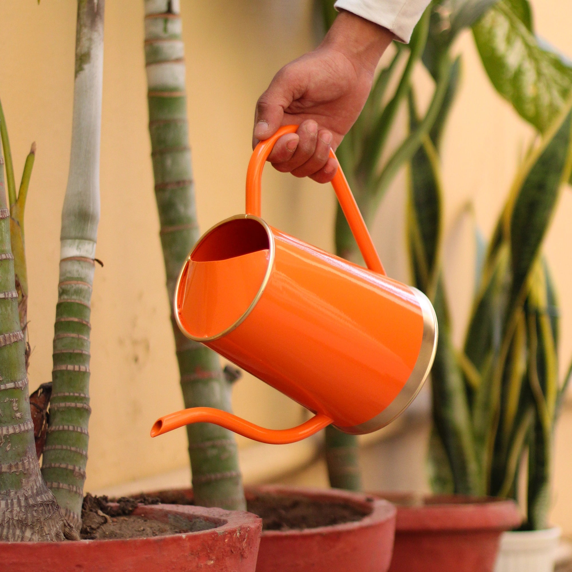 Urban Plant Metal Watering Can for Indoor & Outdoor Use | Best for Home Gardening | Terrace Garden Accessories | Watering Can with Long Spout - 1.5ltr Gardening Accessories Urban Plant Orange 