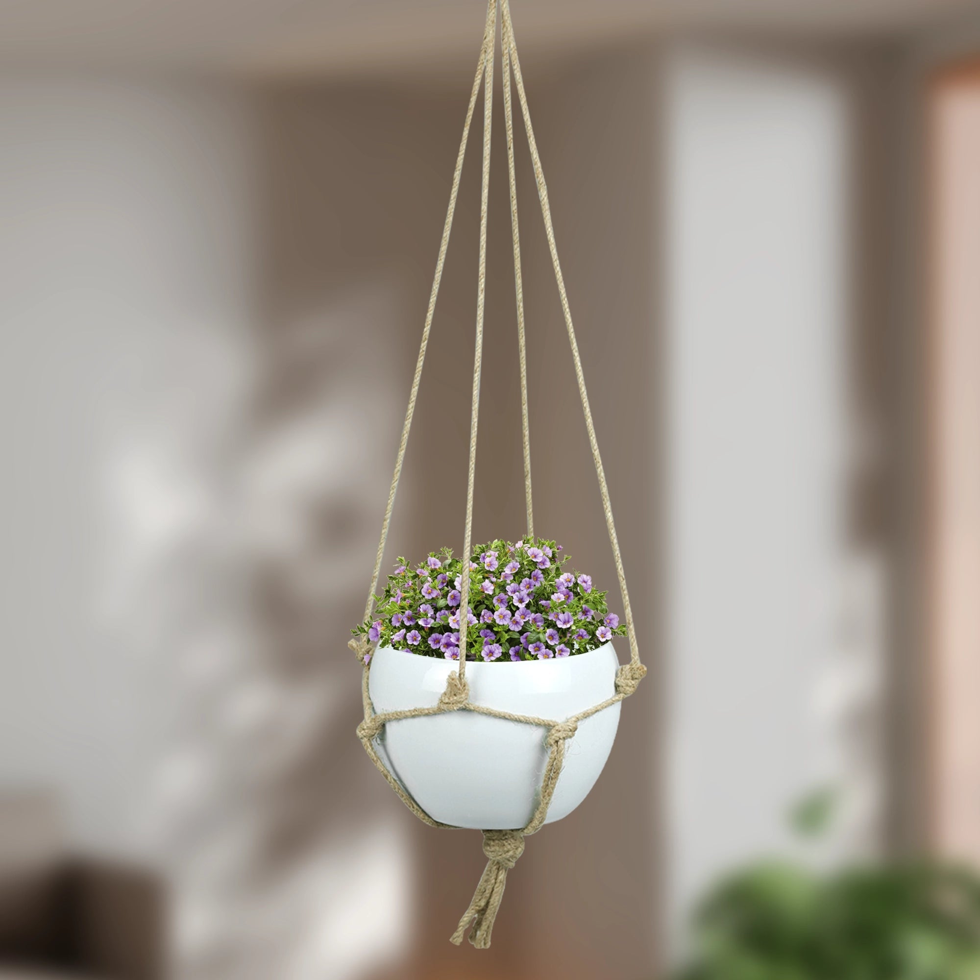 Hanging Round Planter with Jute Rope Matte Metal Planter Urban Plant Black