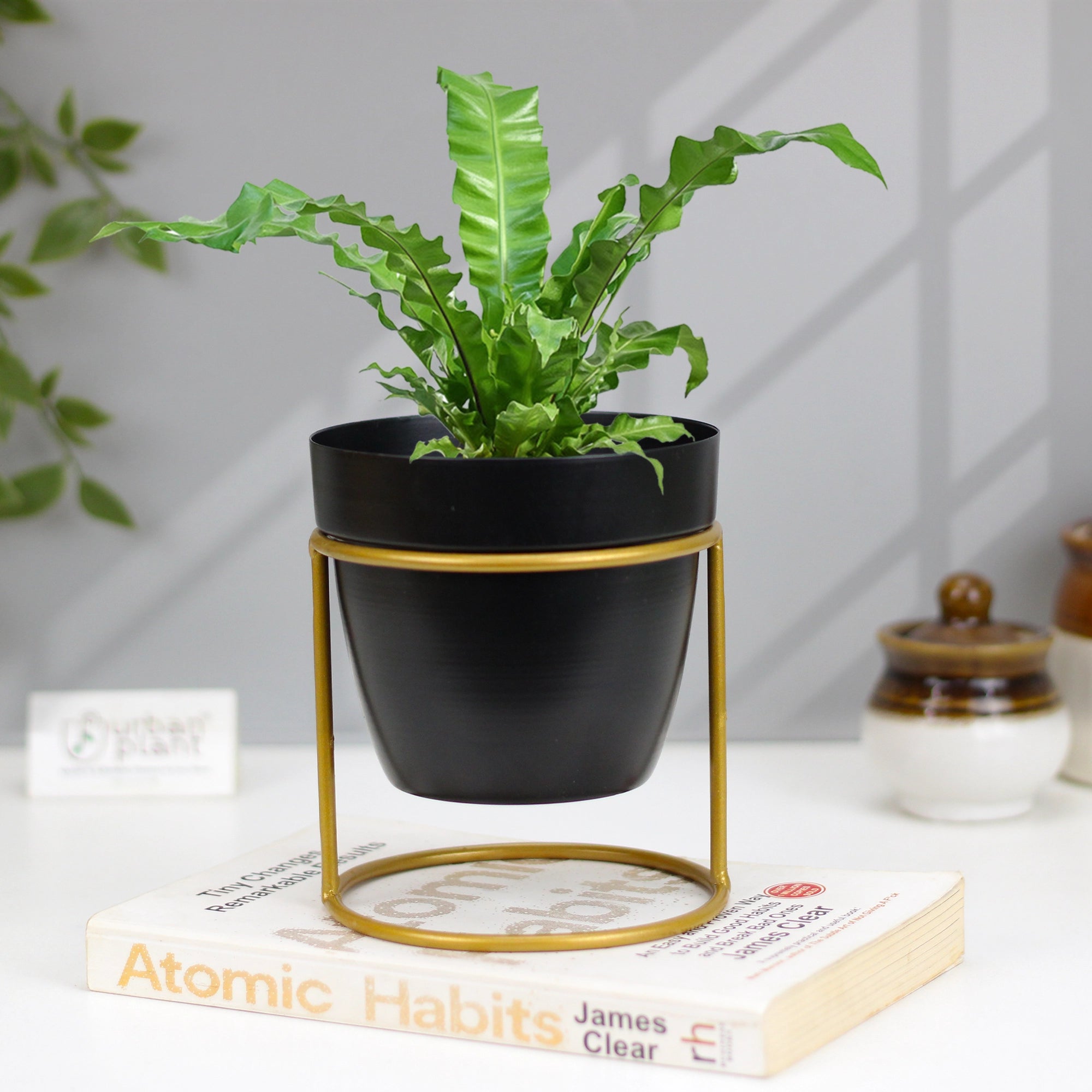 Classy Decorative Round Shape Black & White Metal Planter with Stand Metal Planter Urban Plant