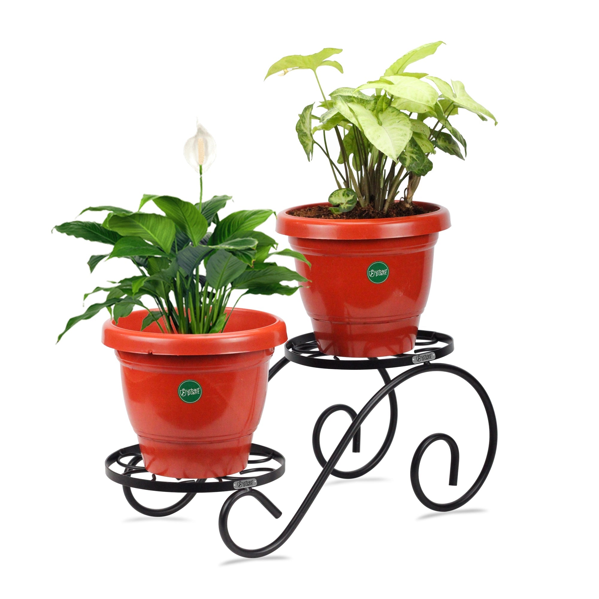 Urban Plant Twinset Stand for Plants Urban Plant