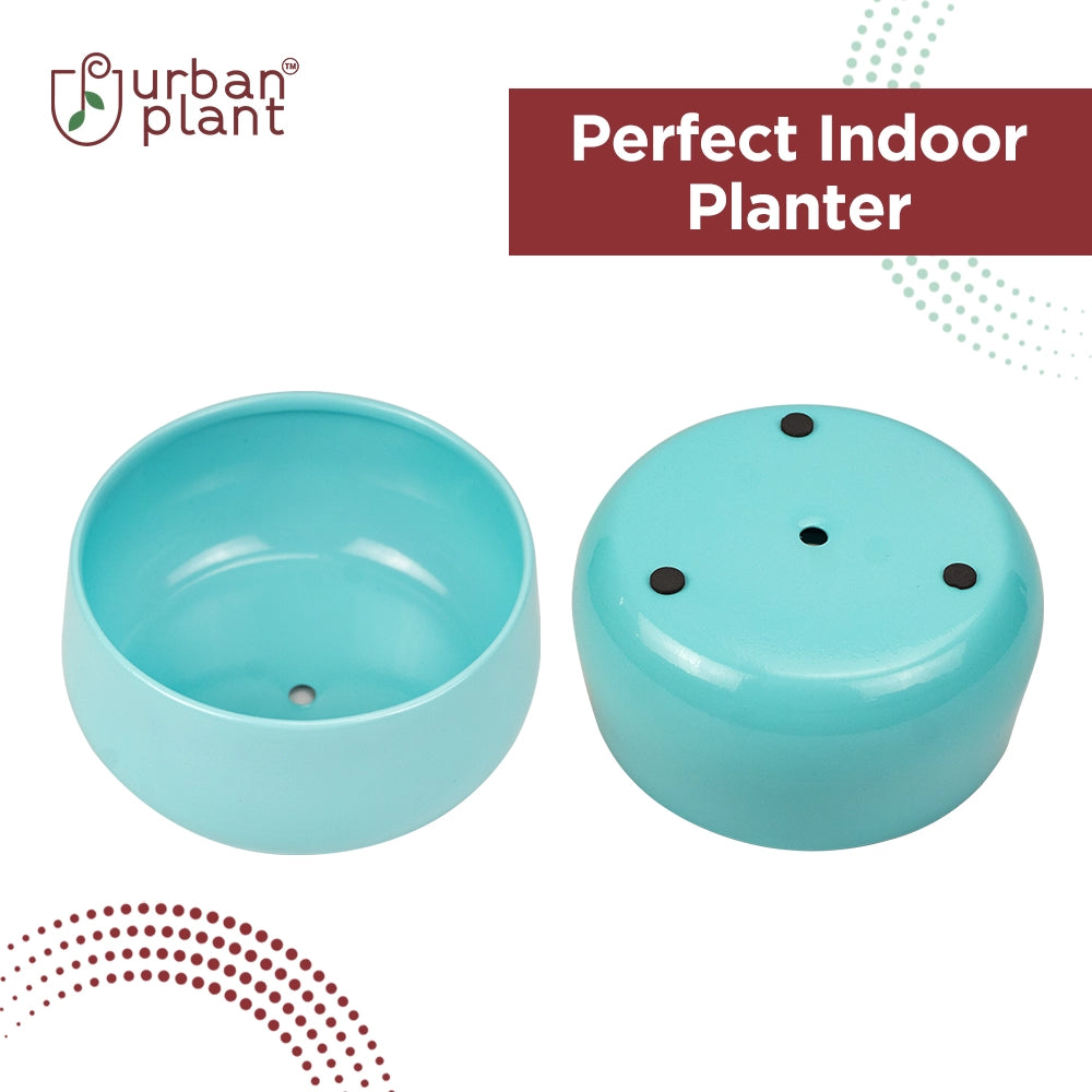Urban Plant Metal Flower Planter for Living Room | Office Decor Item | Succulent Pots | Table Top Planter Metal Planter Urban Plant 