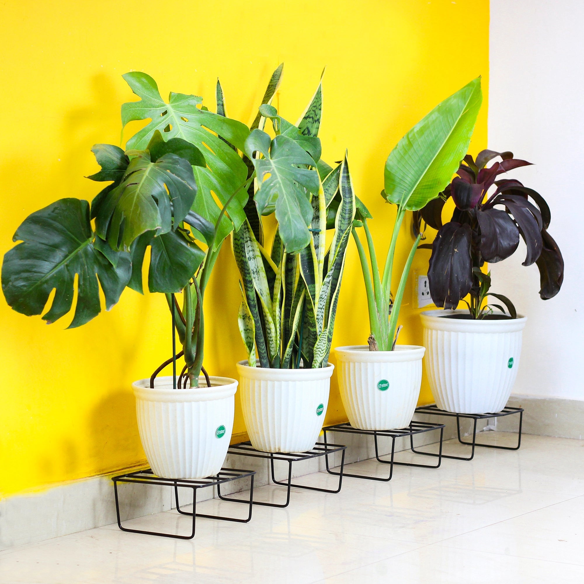 Urban Plant Durable Easy Pot Stand Square | Garden Accessories | Planter Stand for Balcony - 1174 Metal Stand Urban Plant