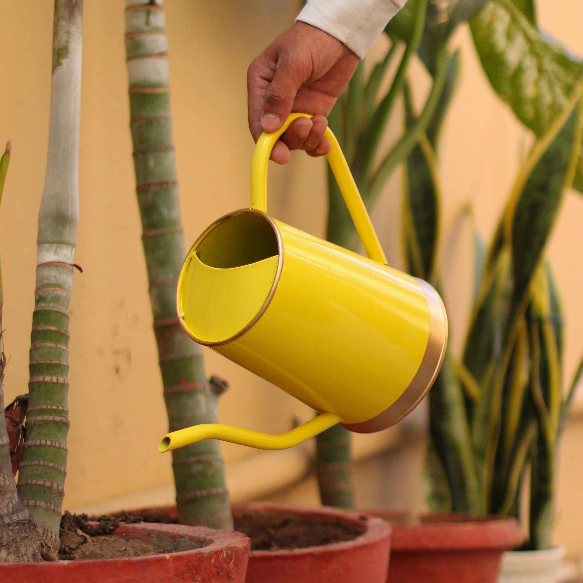 Urban Plant Metal Watering Can for Indoor & Outdoor Use | Best for Home Gardening | Terrace Garden Accessories | Watering Can with Long Spout - 1.5ltr Gardening Accessories Urban Plant Yellow 