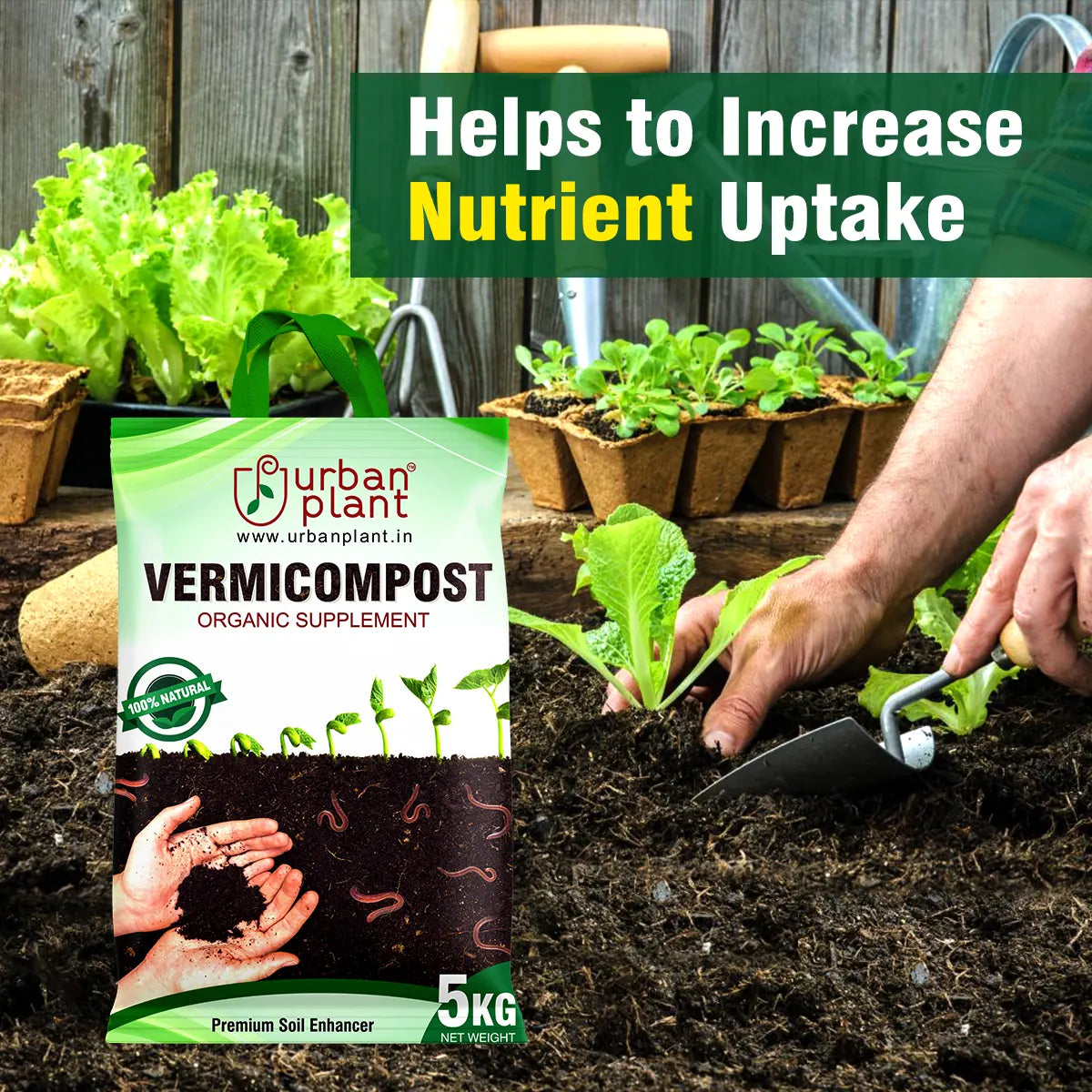 Pure Vermicompost Urban Plant 