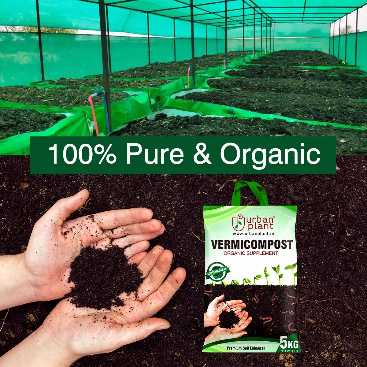 Organic fertilizer 