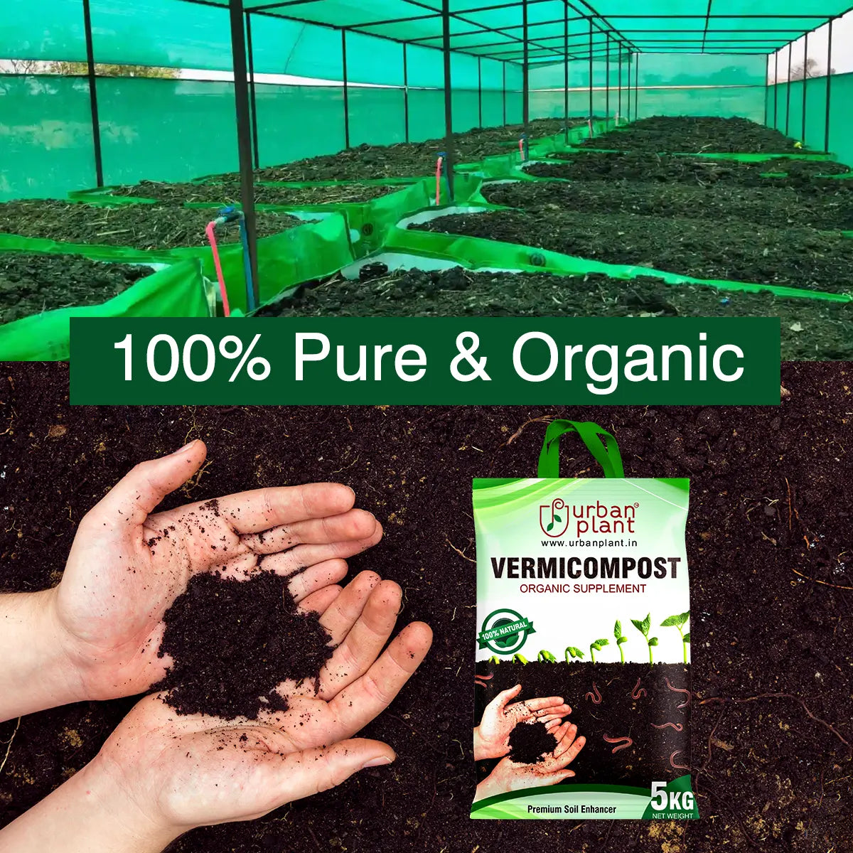 Organic fertilizer