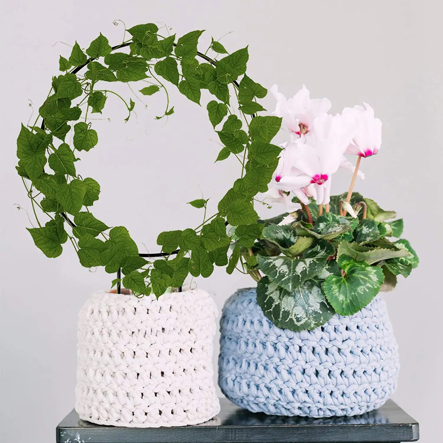 Urban Plant Round Shaped Trellis for Plant Protection and Decoration (Set of 2) Gardening Tools Urban Plant