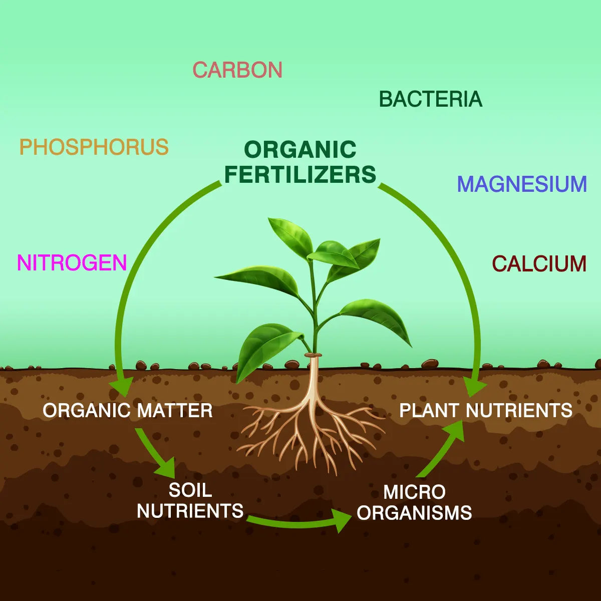 Pure Vermicompost Urban Plant