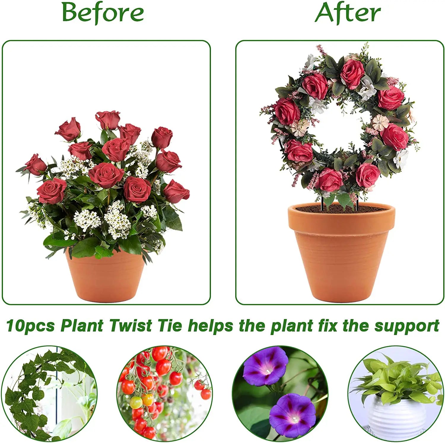 Urban Plant Round Shaped Trellis for Plant Protection and Decoration (Set of 2) Gardening Tools Urban Plant