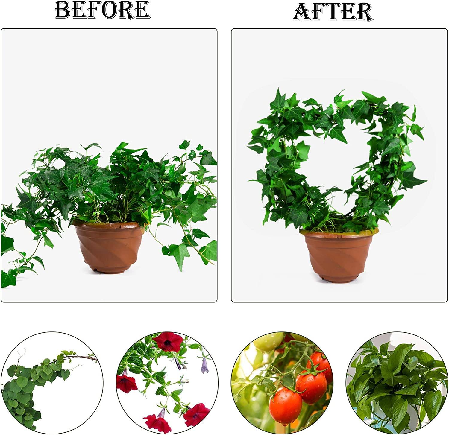 Urban Plant Heart Shaped Trellis for Plant Protection and Decoration (Set of 2) Gardening Tools Urban Plant