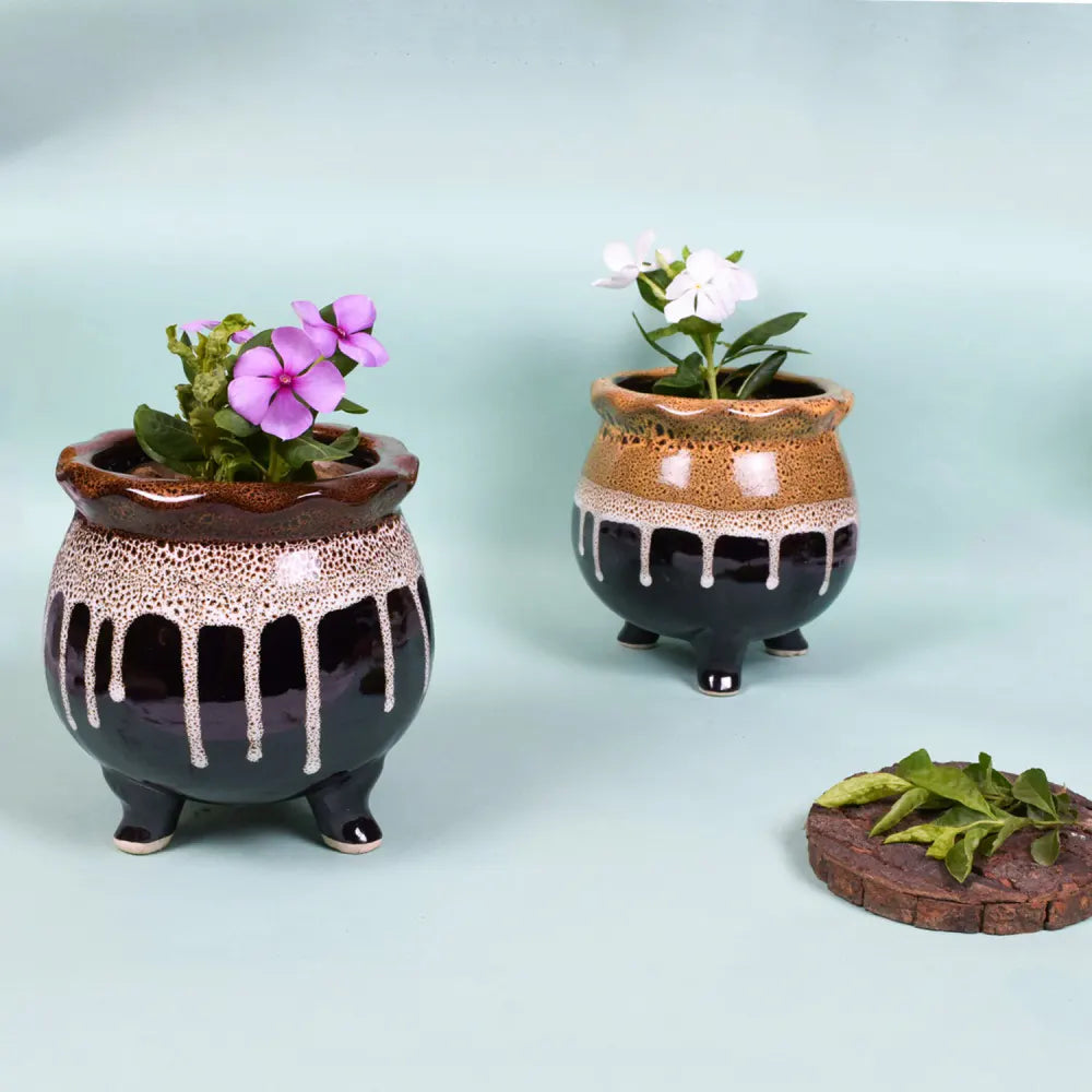 Trio Terra Handi Planter Pot Ceramic Planters Urban Plant 