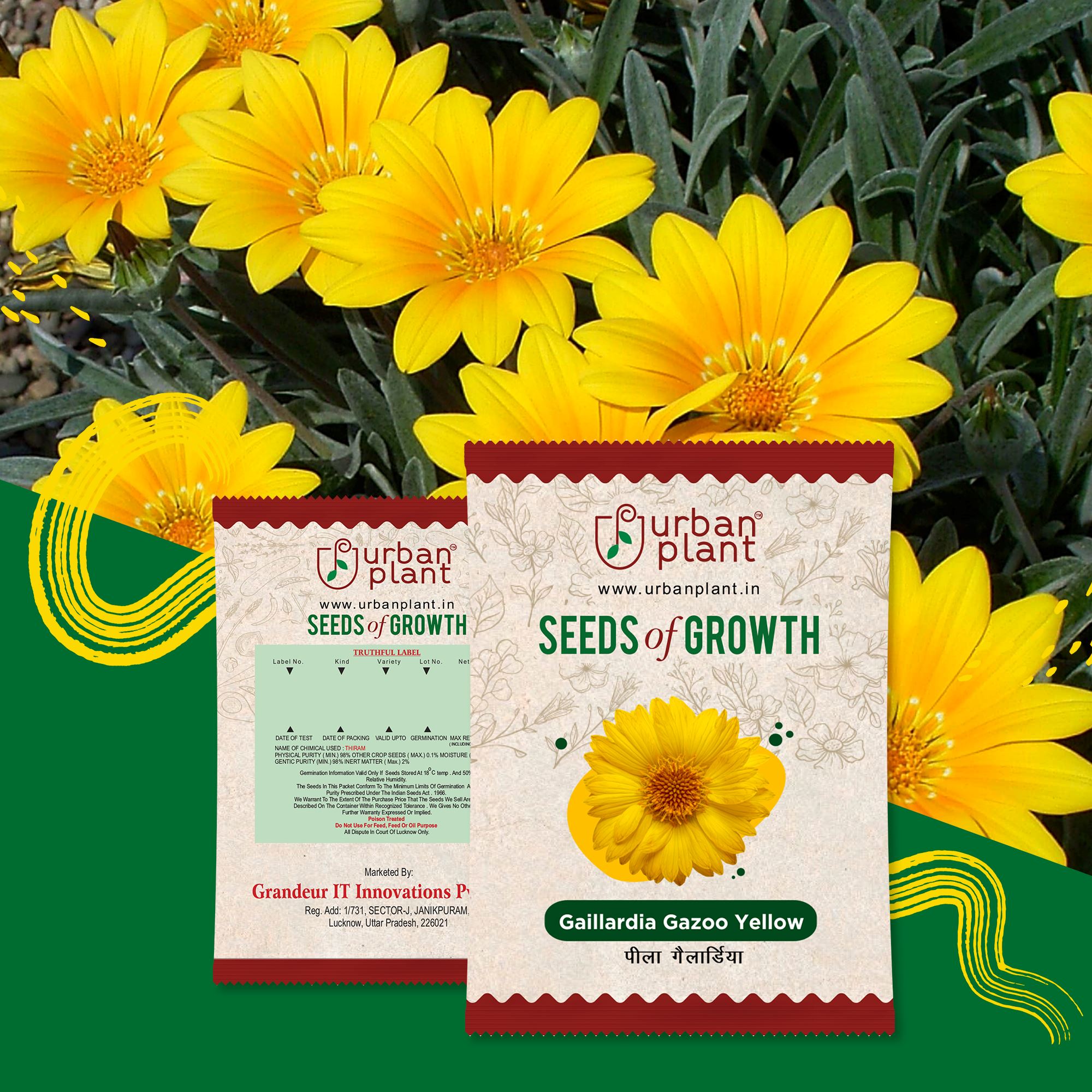 Gaillardia Yellow Flower Seeds Urban Plant