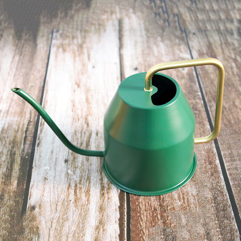 Watering Can Urban Plant Green 