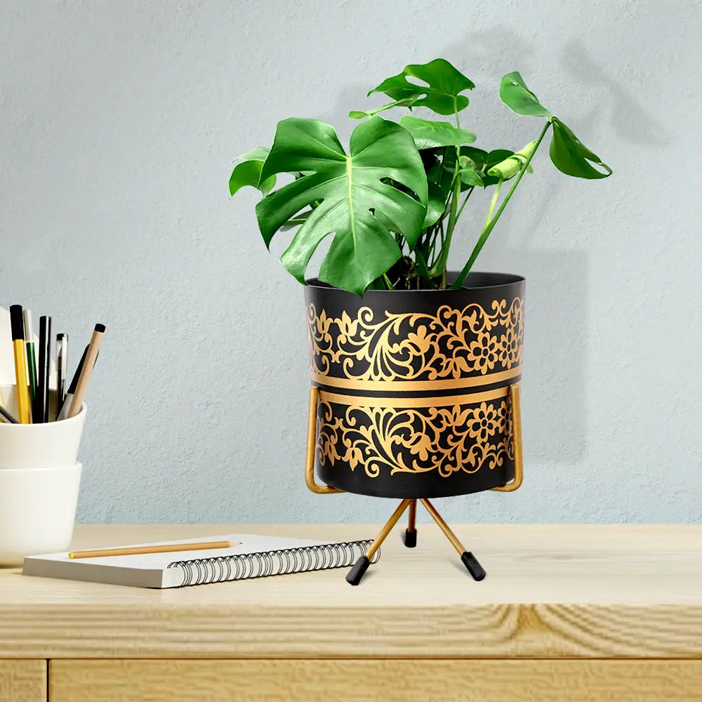 Brocade Pattern Pot with Stand (Black with Gold Pattern) Indoor/Table Top Planter Urban Plant 