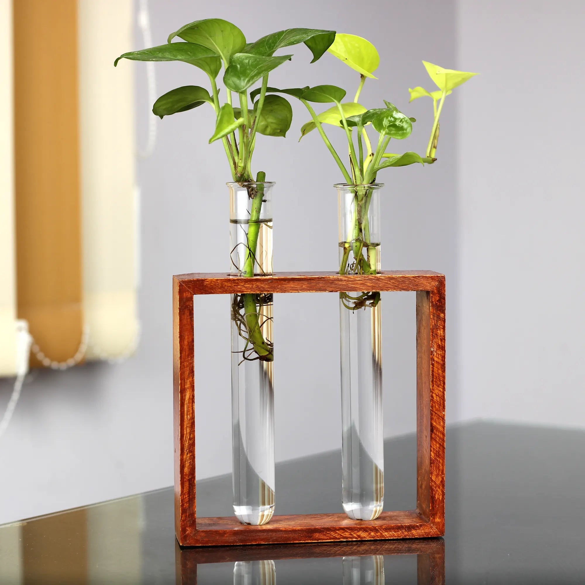 Modern Style Decorative Test Tube Planters with Wooden Frame Online (Set of 2) Indoor/Table Top Planter Urban Plant 