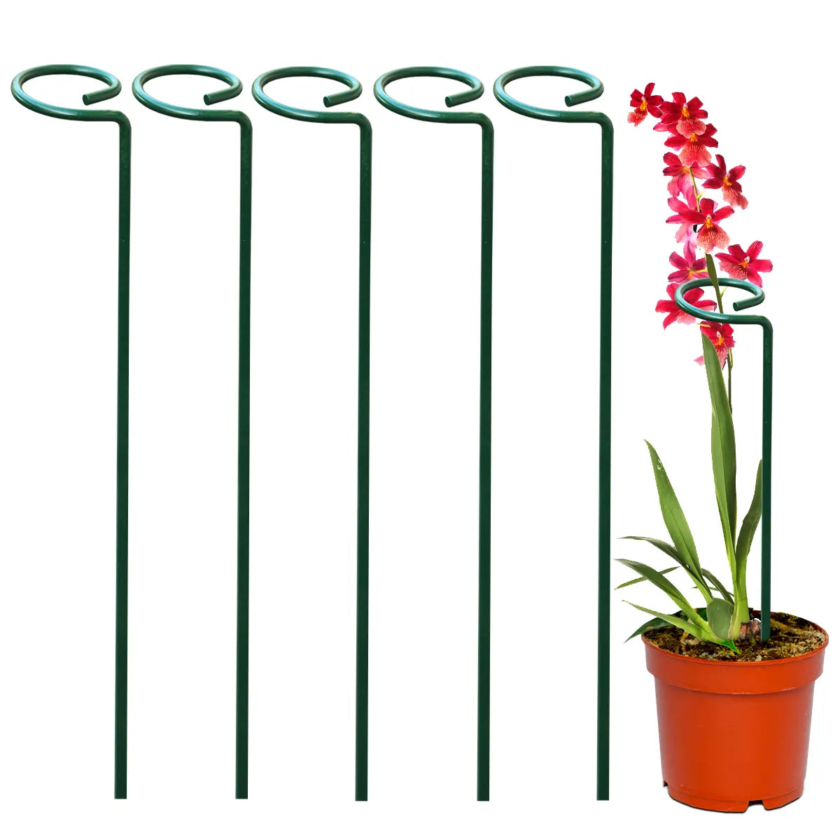 Garden Stakes - Metal Plant Support Sticks Urban Plant Set of 5 
