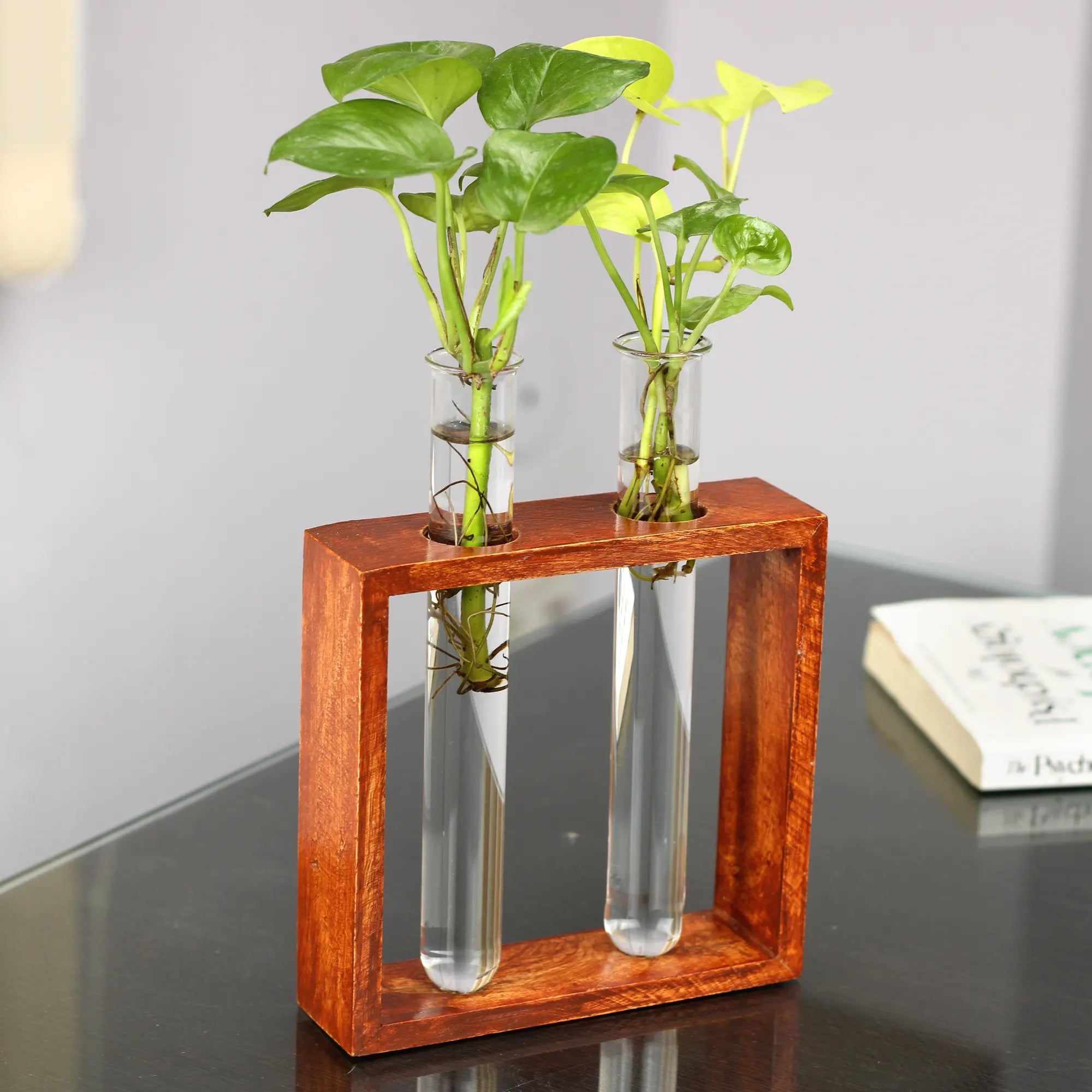 Modern Test Tube Planter with Wooden Holder