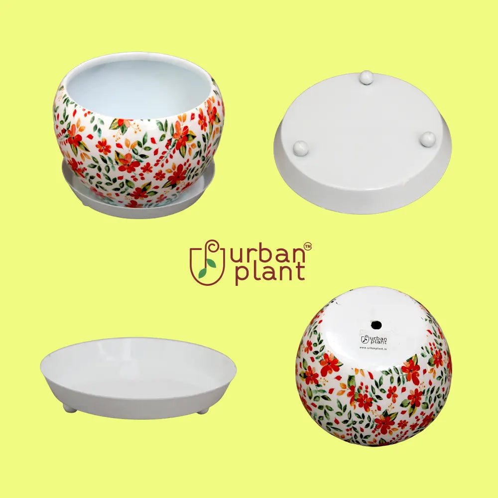 Round Designer Floral Metal Planter/Pot with Water Saucer Metal Planter Urban Plant