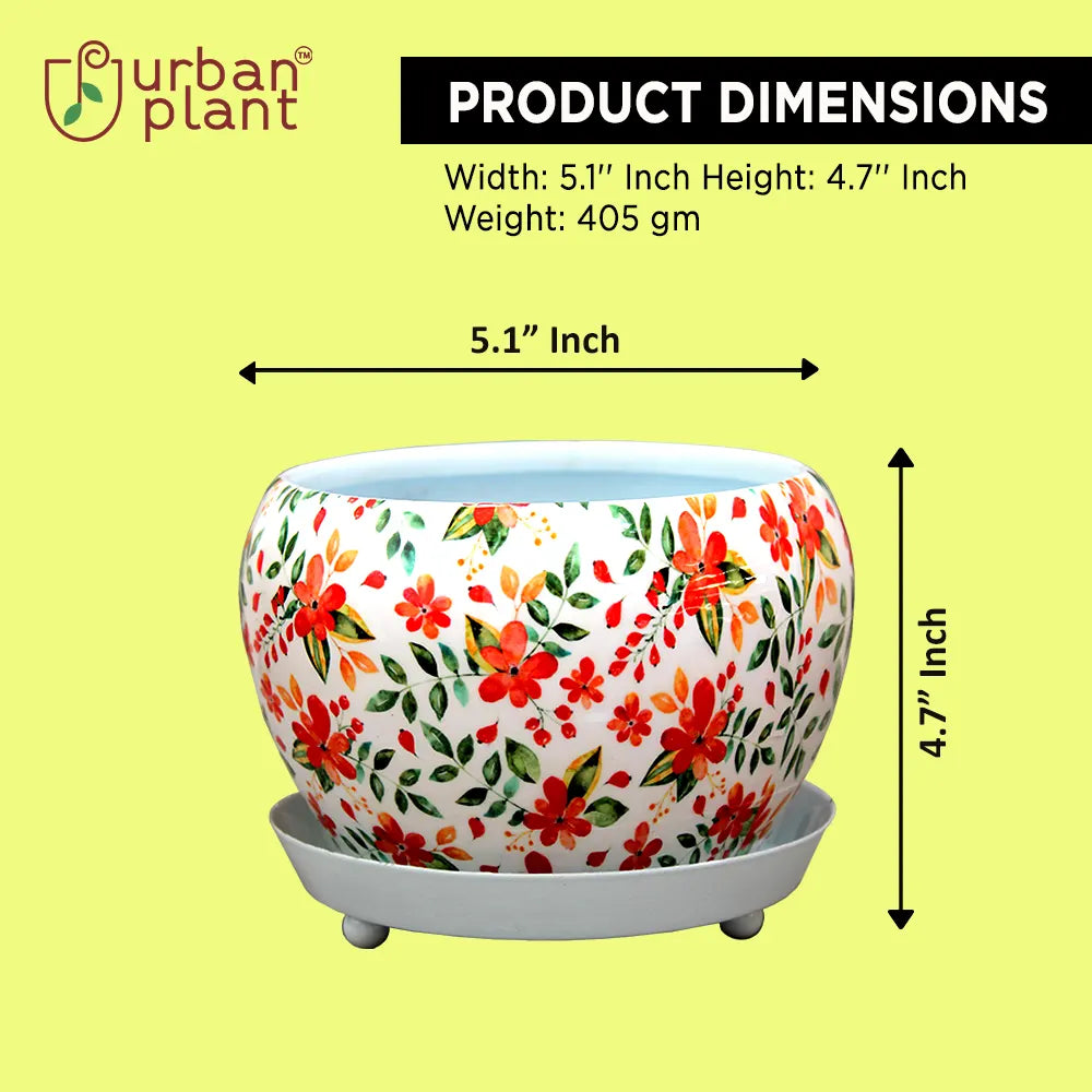 Round Designer Floral Metal Planter/Pot with Water Saucer Metal Planter Urban Plant