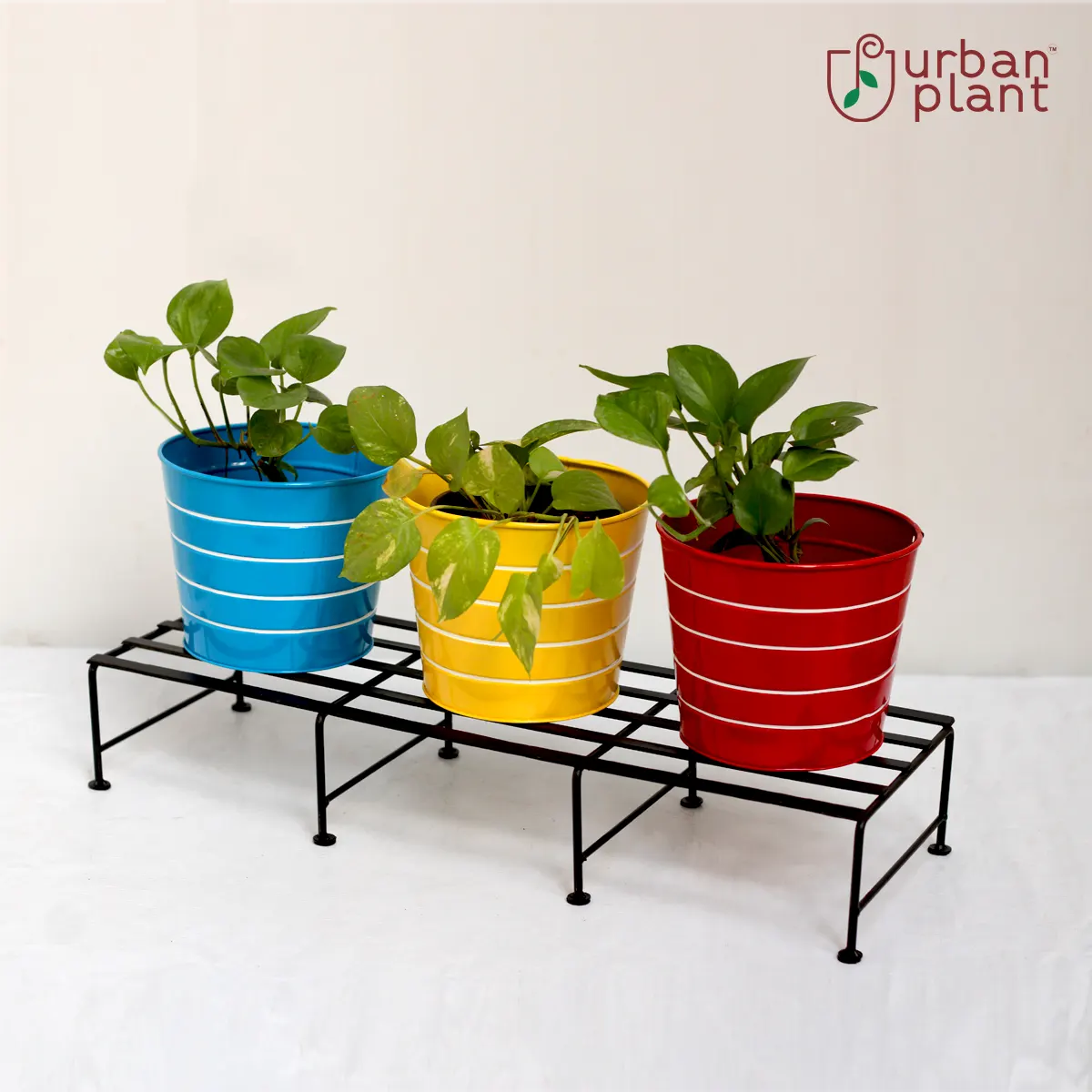 Urban Plant Arachnida Pot Stand (1170) Planter Stand Urban Plant 