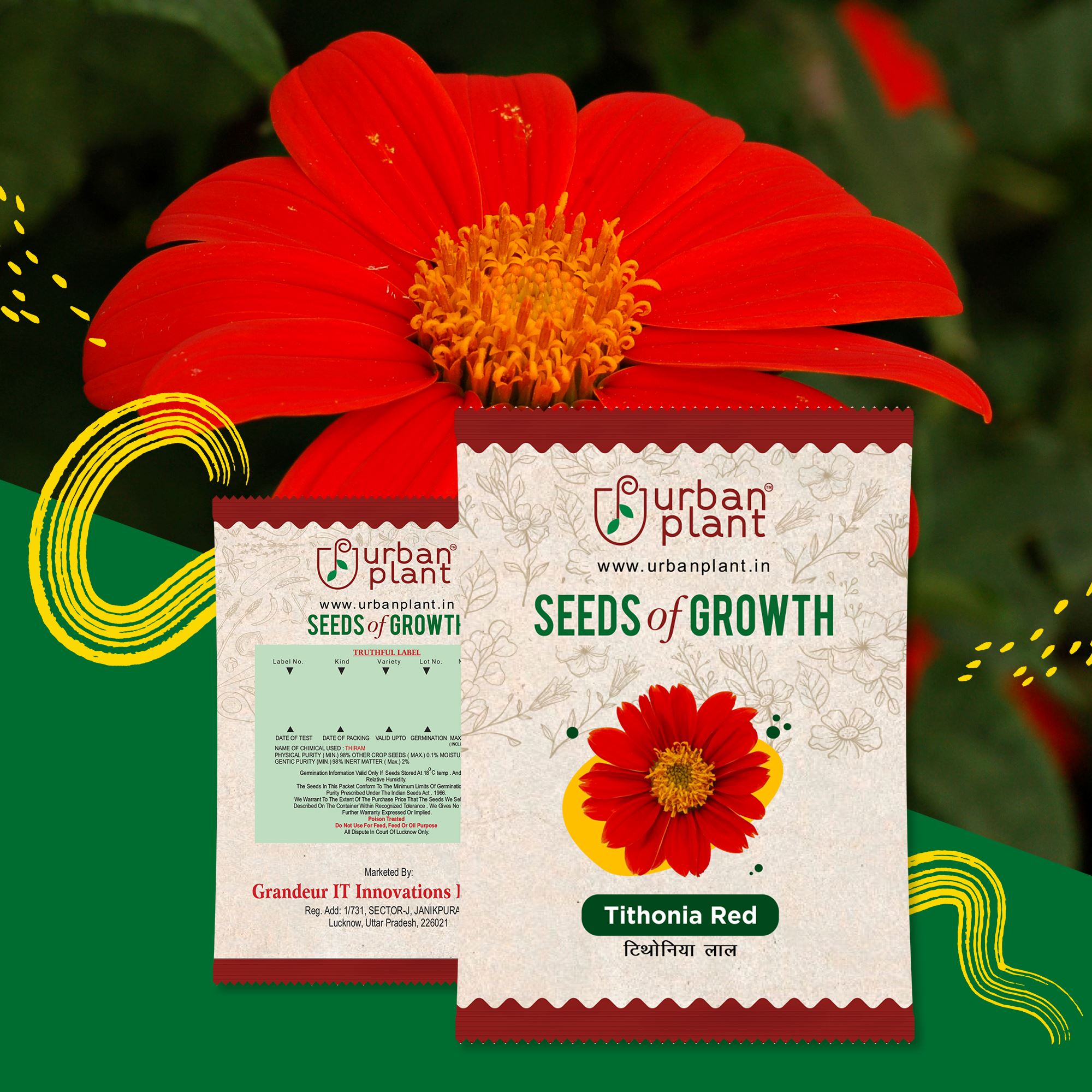 Tithonia Red Flower Seeds Urban Plant