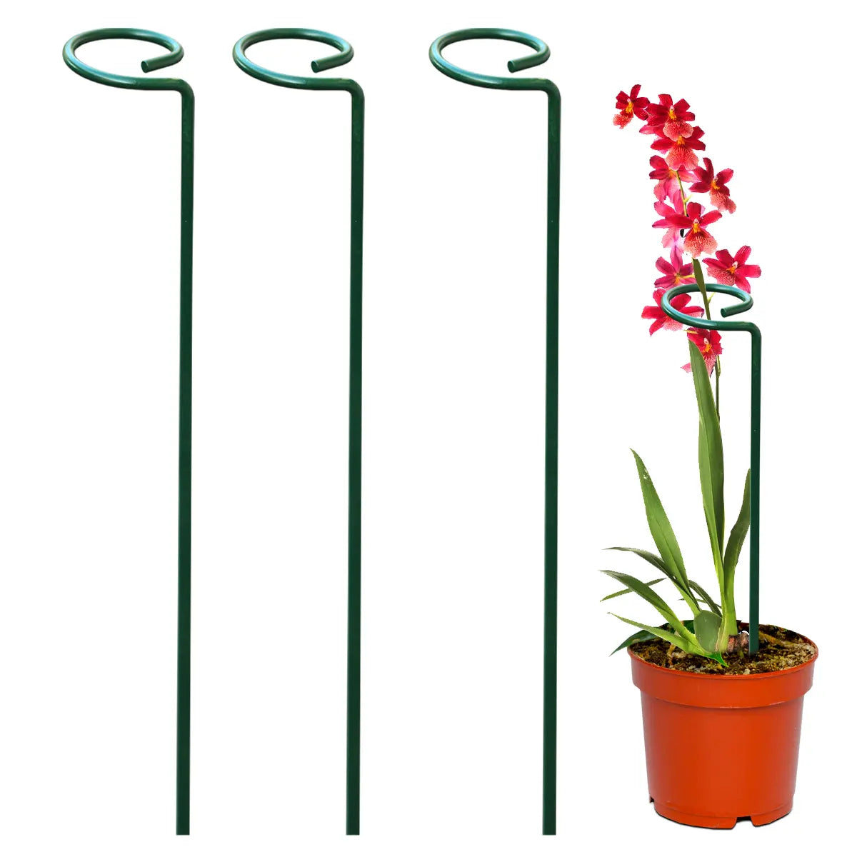 Garden Stakes Metal Plant Support Sticks Urban Plant