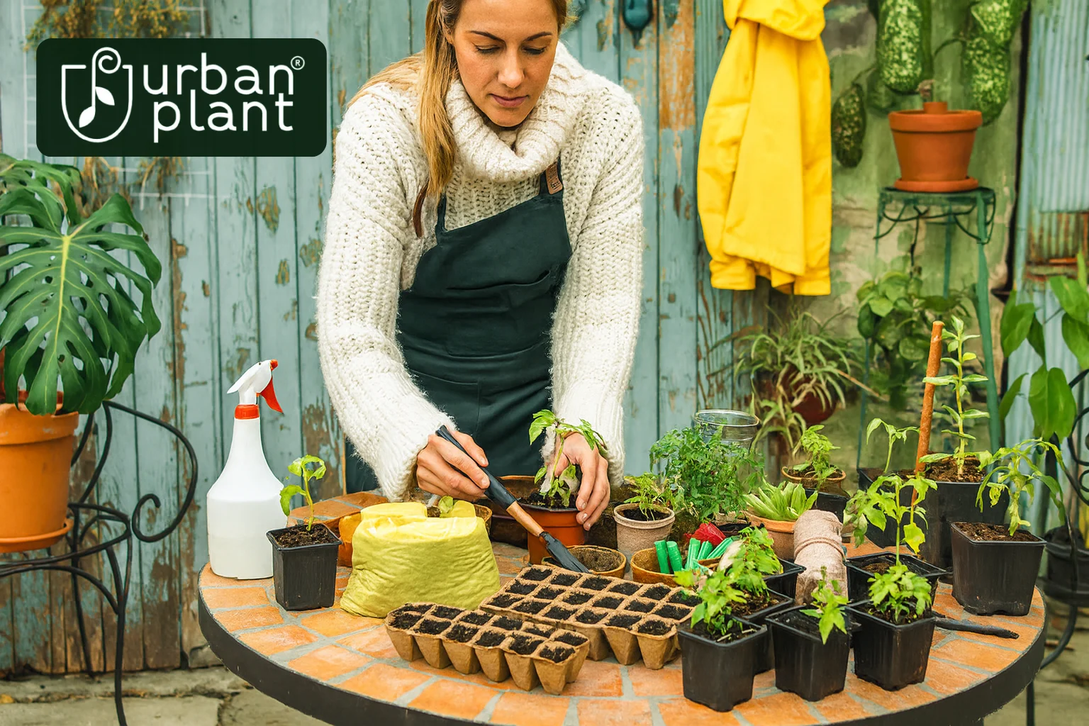 Multiply Your Garden: Easy Plant Propagation Methods That Work