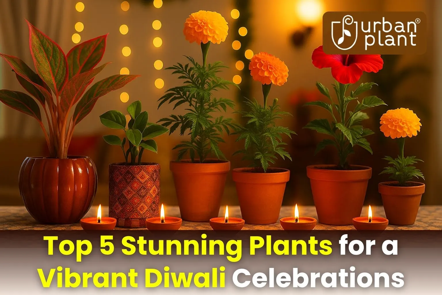 Best Flowering Plants to Grow Before Diwali for a Green Festive Home