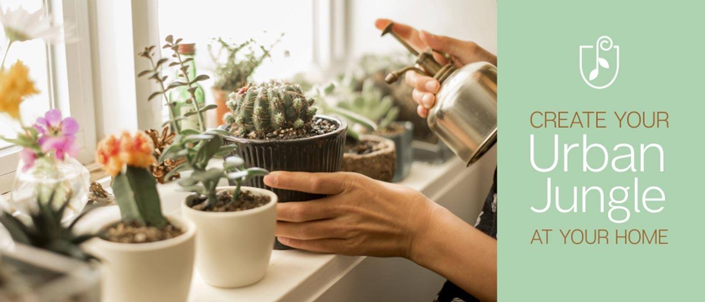 How to Create Your Urban Jungle at your Home- Easy & Simple Steps!