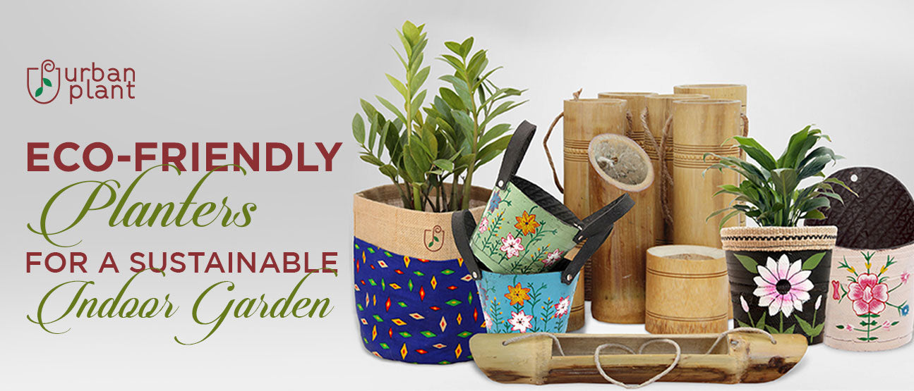 Eco-friendly planters for a sustainable indoor garden