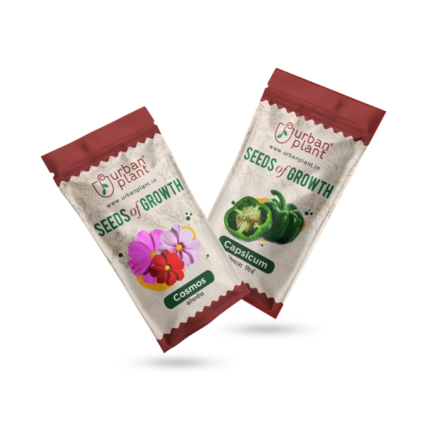 Seeds