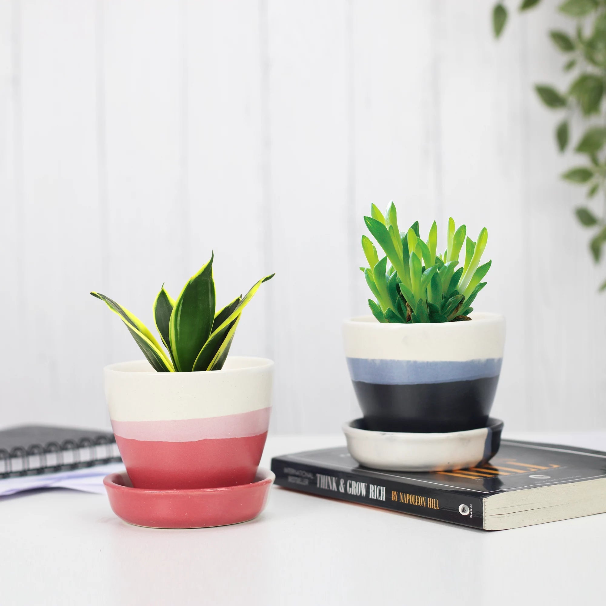 Multi Color Round Planter with Saucer Base Ceramic Planters Urban Plant 