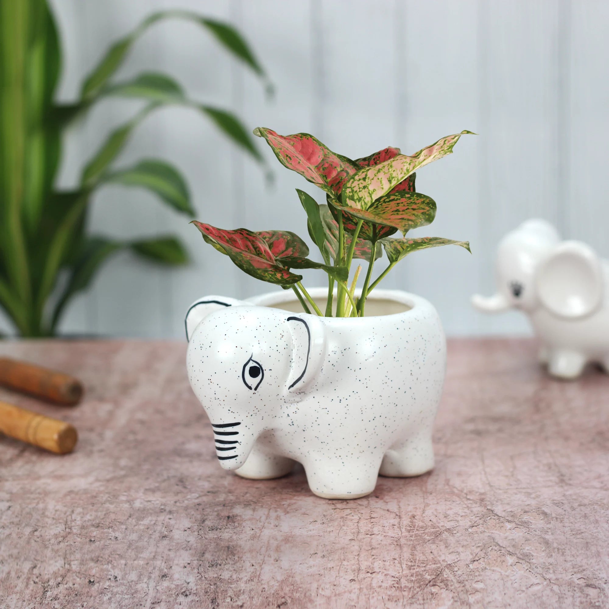 Cute Baby Elephant Planter - BB0230 Ceramic Planters Urban Plant 