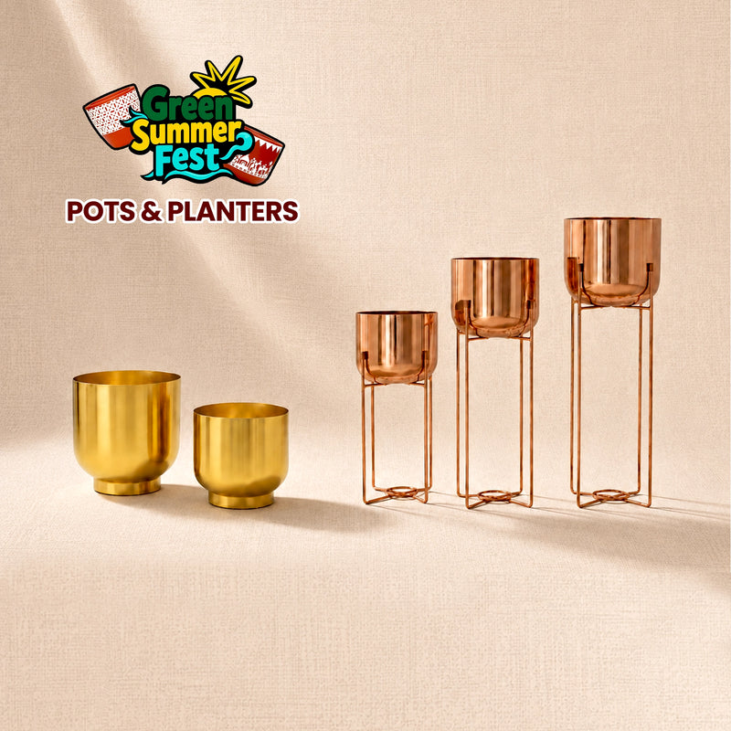 UPTO 55% OFF
