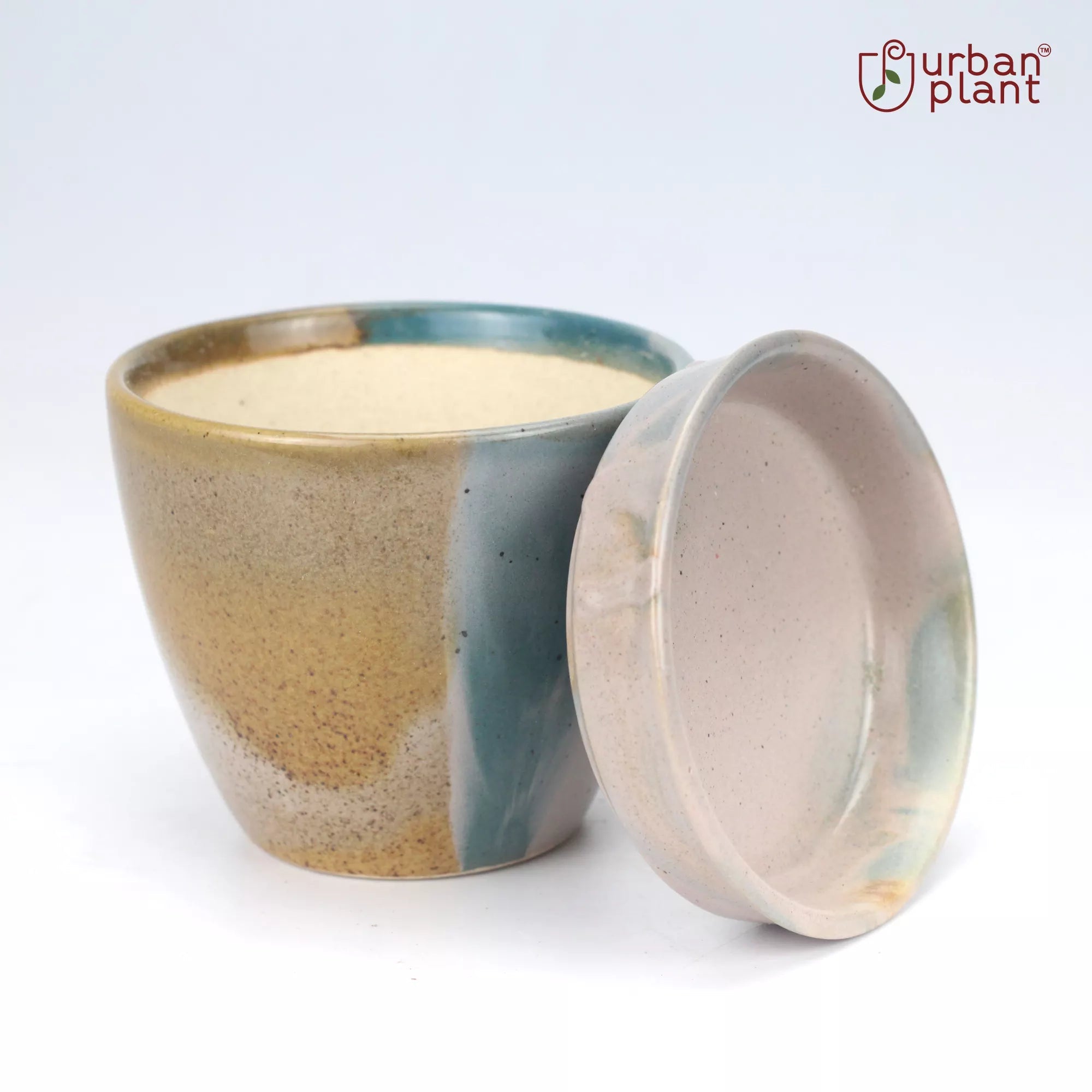 Vibrant Ceramic Patterned Planter Pot - BB0334 Ceramic Planters Urban Plant 