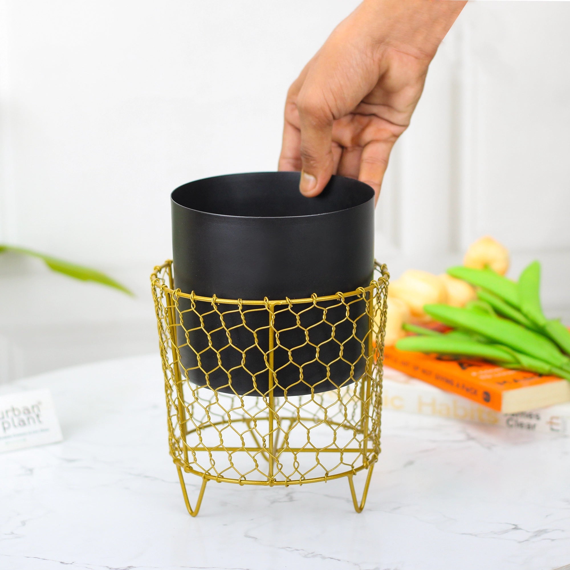 Golden Cage Metal Planter | Modern Designer Planter Pots for Living Room - 6" - 1270 Metal Planter Urban Plant 