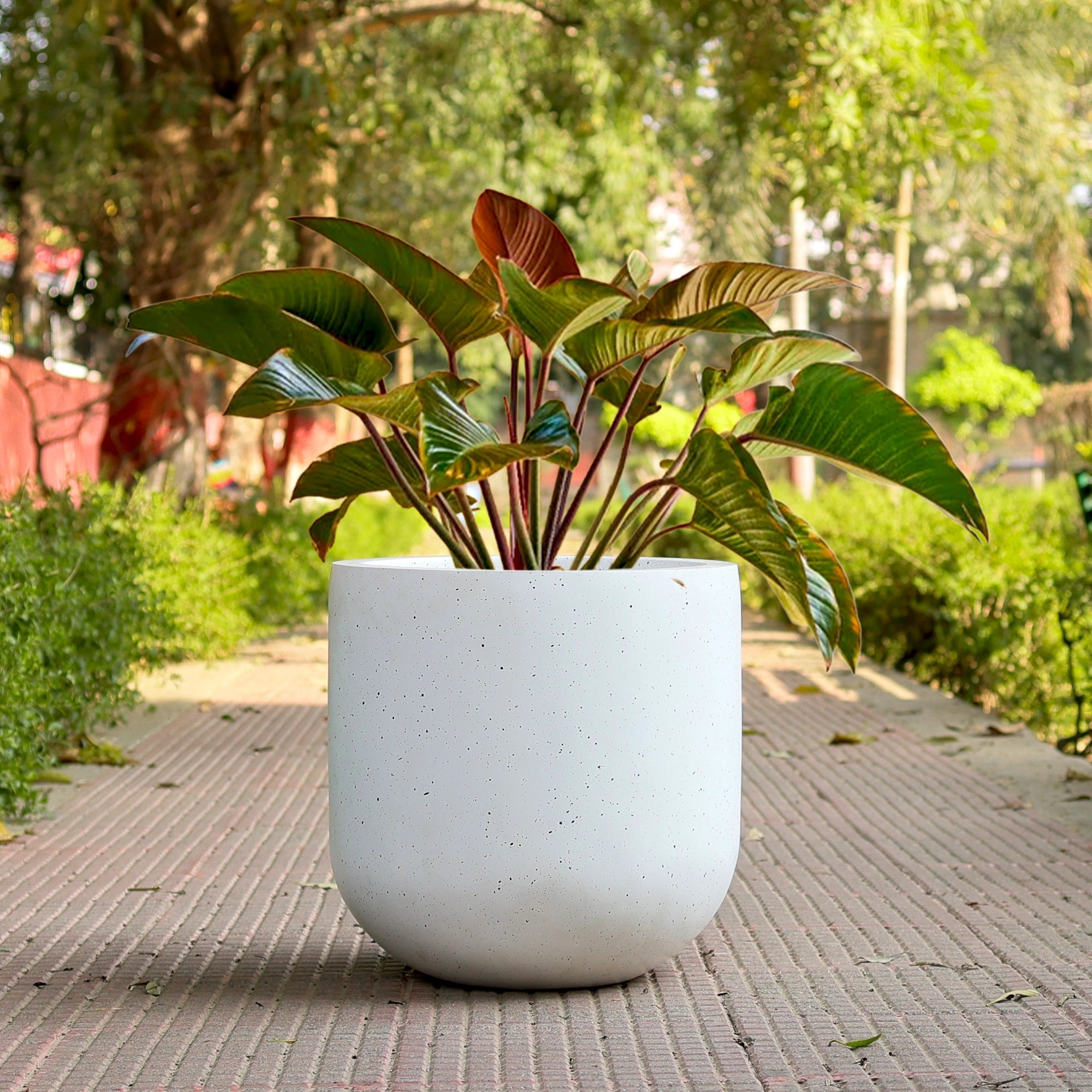 ORBIS Planter – L17 (5 Years Warranty)