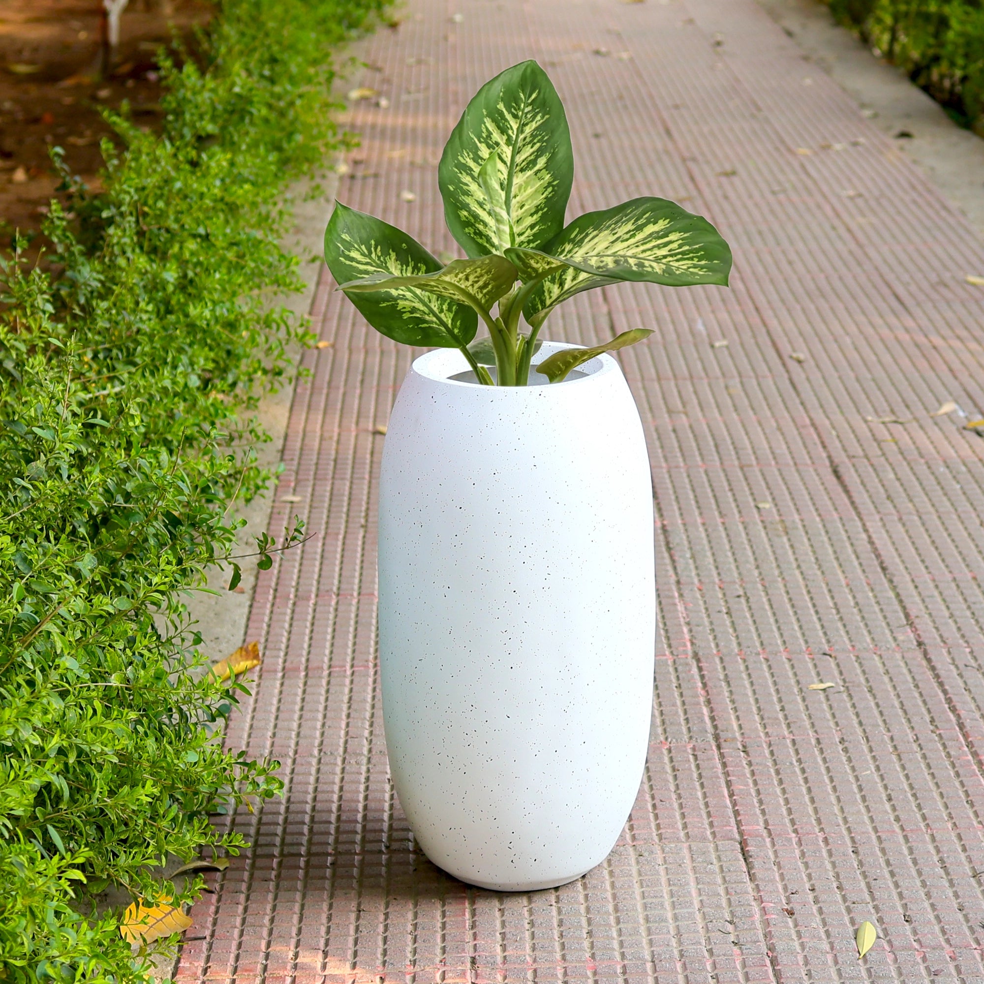 VERTICA Planter – H23 (5 Years Warranty)