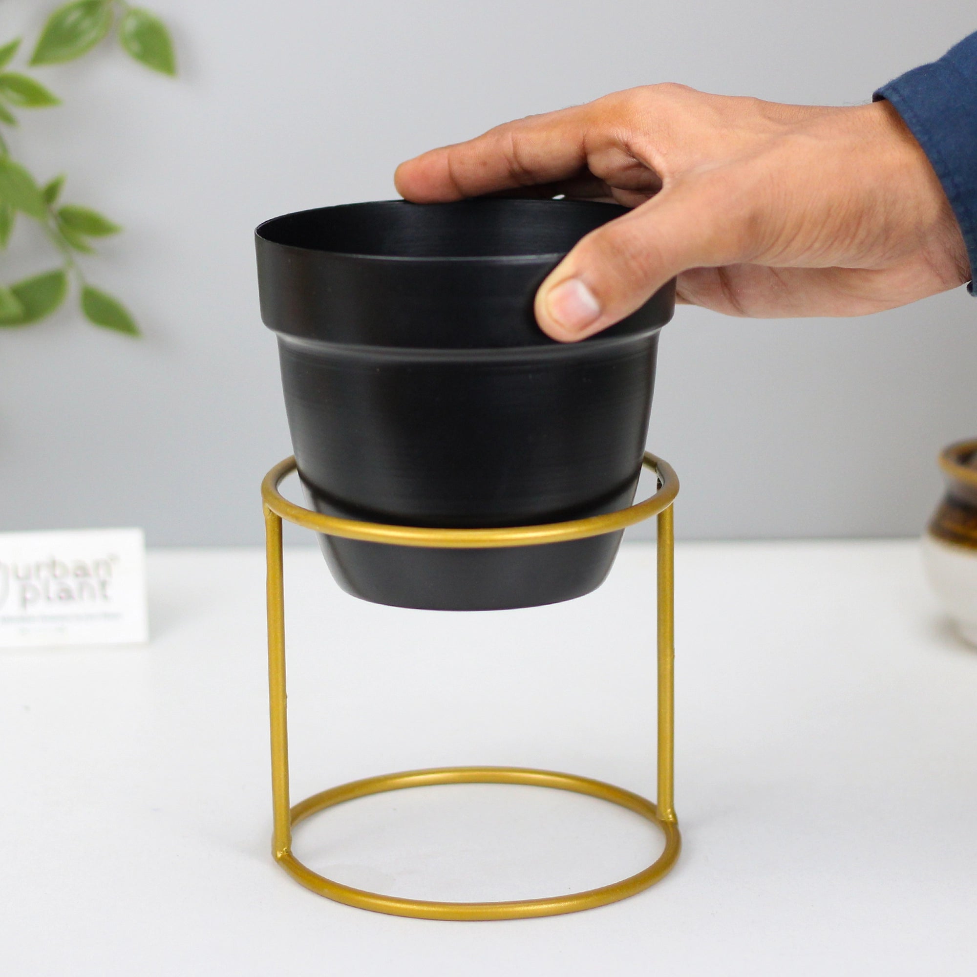 Classy Decorative Round Shape Black & White Metal Planter with Stand Metal Planter Urban Plant 