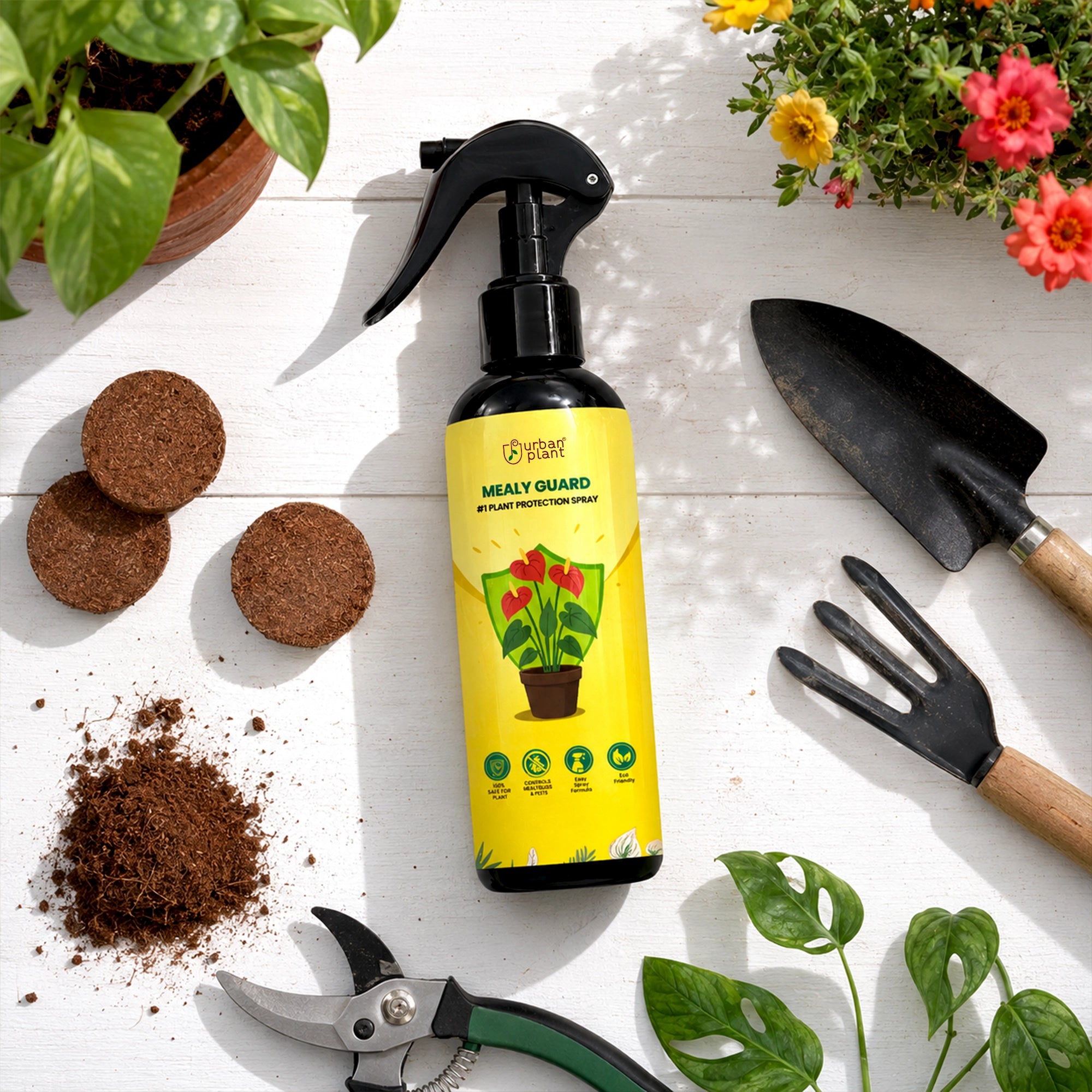 Urban Plant Mealy Guard – Natural Plant Protection Spray for Mealy Bugs & Pests