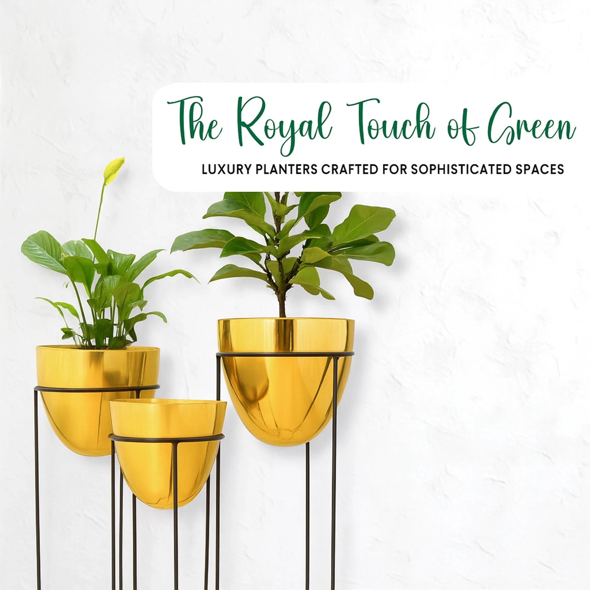 Orbelle Planters Metal Planter Urban Plant 