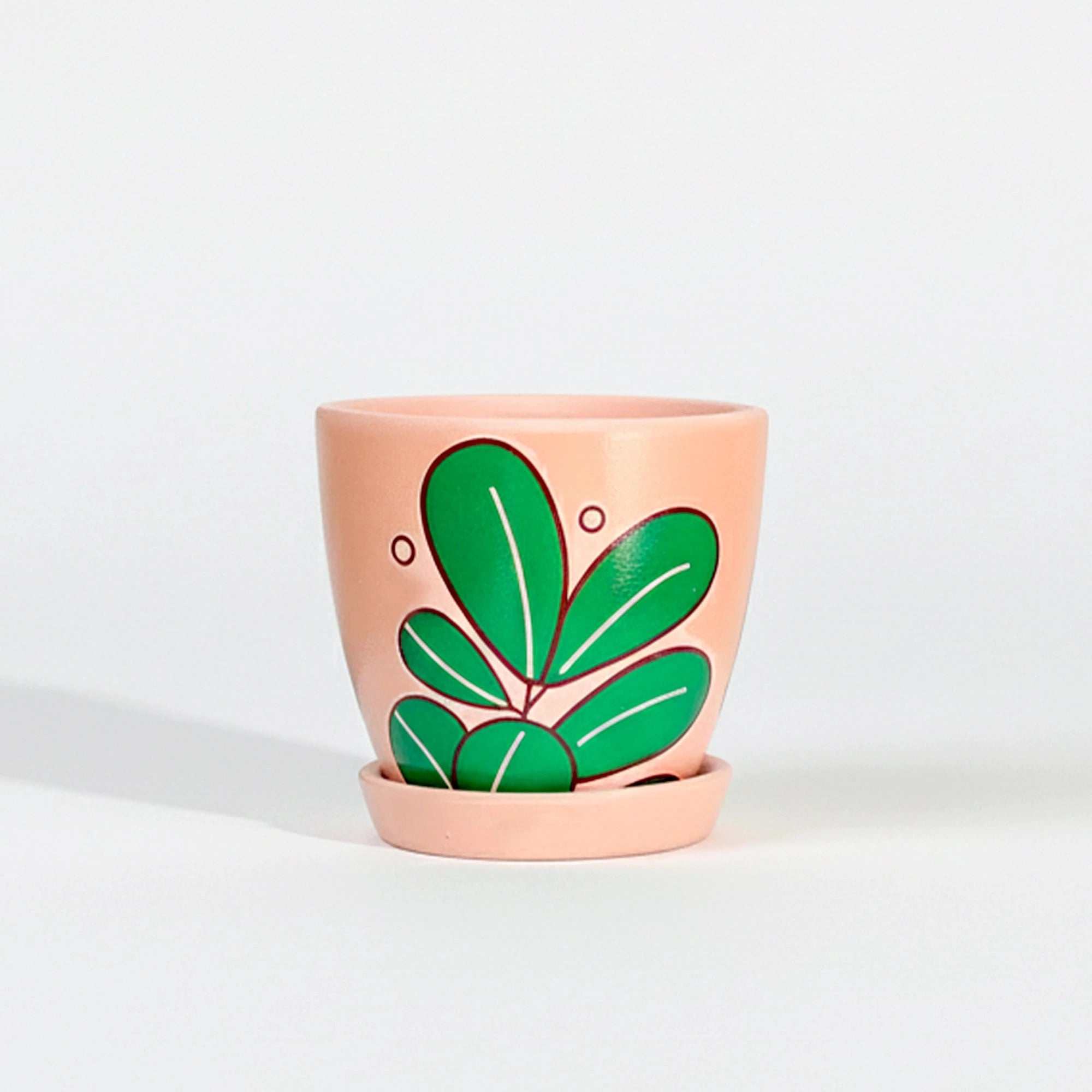 Urban Plant Signature Terracotta Pot Terracotta Pot Urban Plant 
