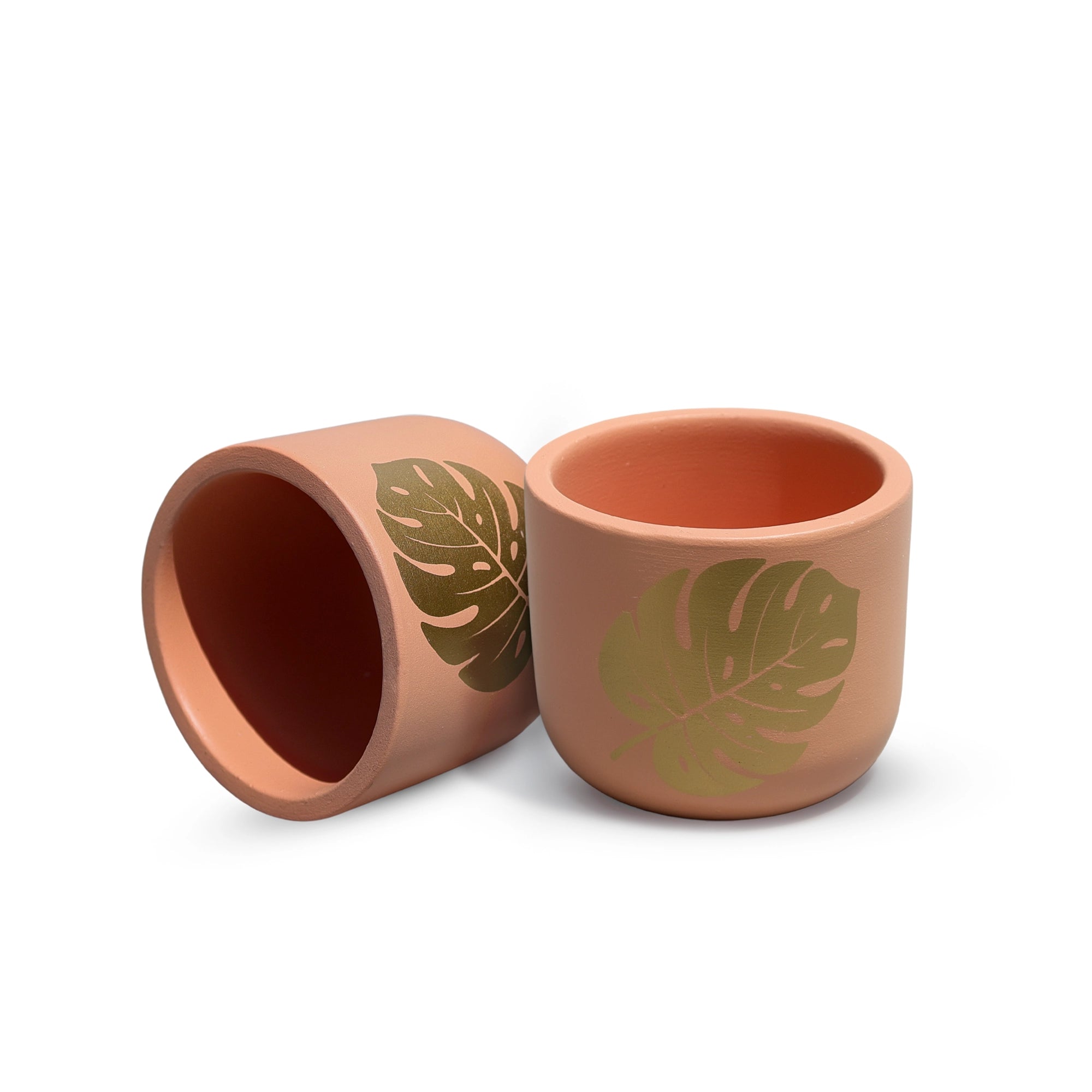 Monstera Muse Earth Gold Terracotta Pot by Urban Plant