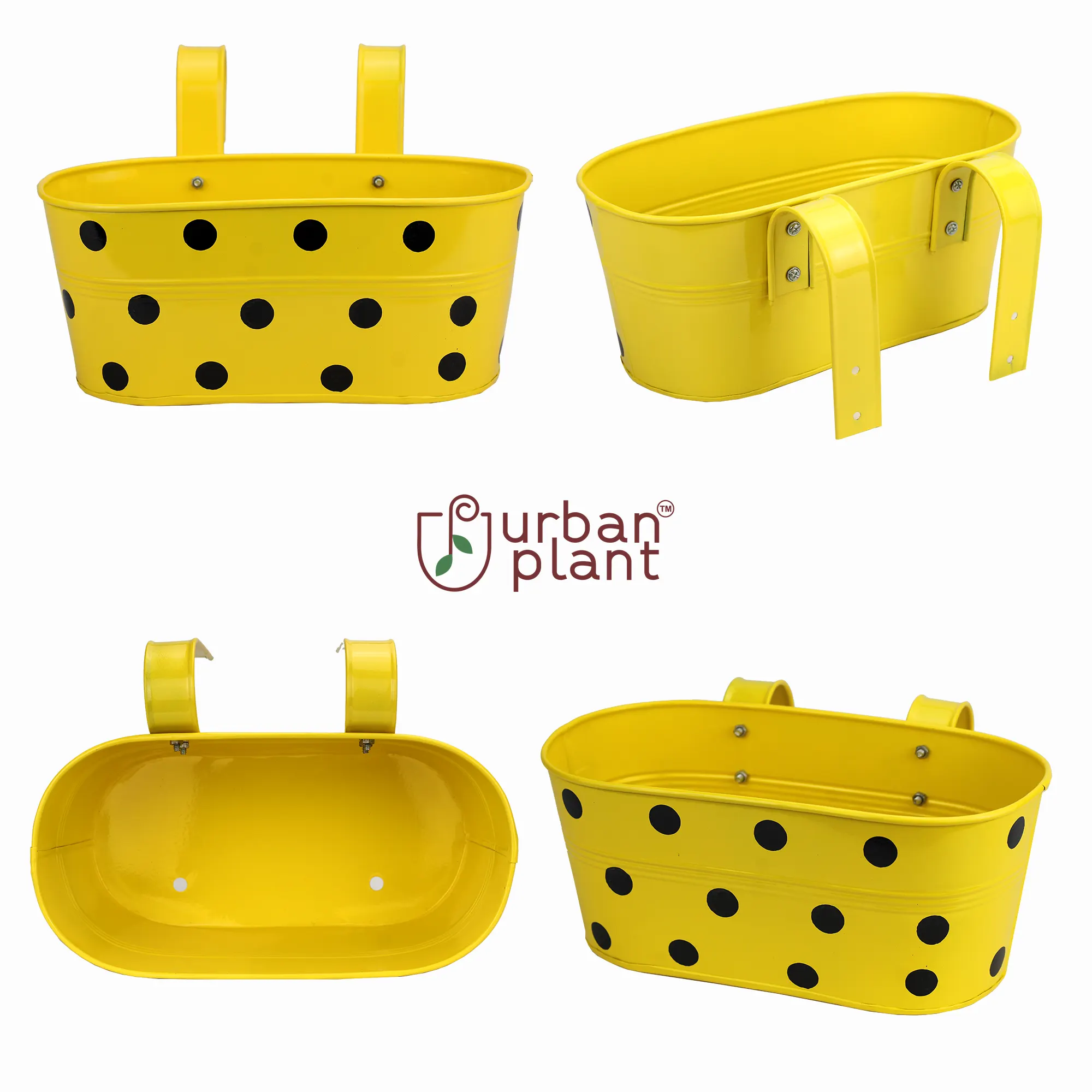 Hanging Planter Dot Oval Shaped 12 Inch (Green, Red, Blue and Yellow) (Set of 5) Oval Balcony Hanging Pot Urban Plant 