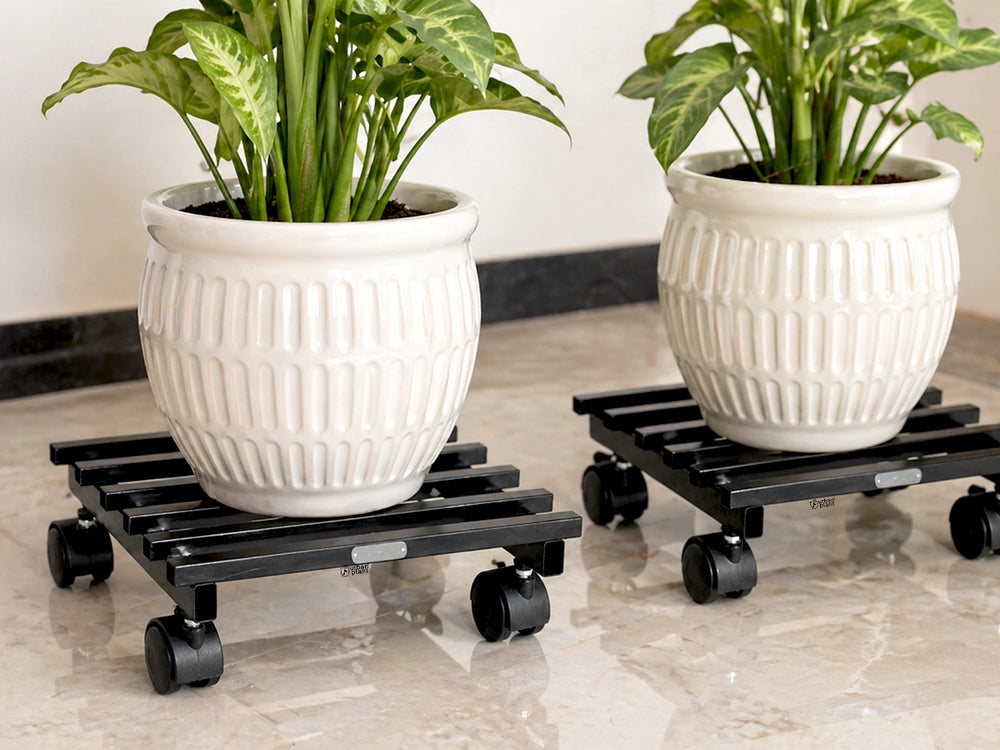 indoor plant stand with wheels Buy 360° rotating Urban Plant Caddy with Wheels – Heavy Duty Stand