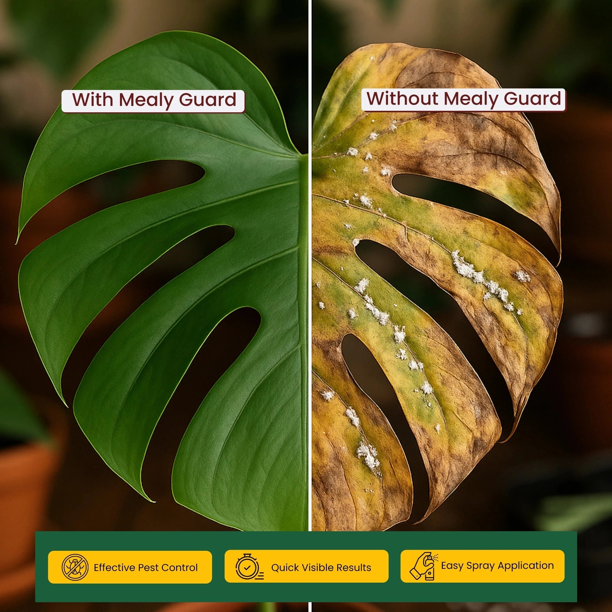 Urban Plant Mealy Guard – Natural Plant Protection Spray for Mealy Bugs & Pests Urban Plant 