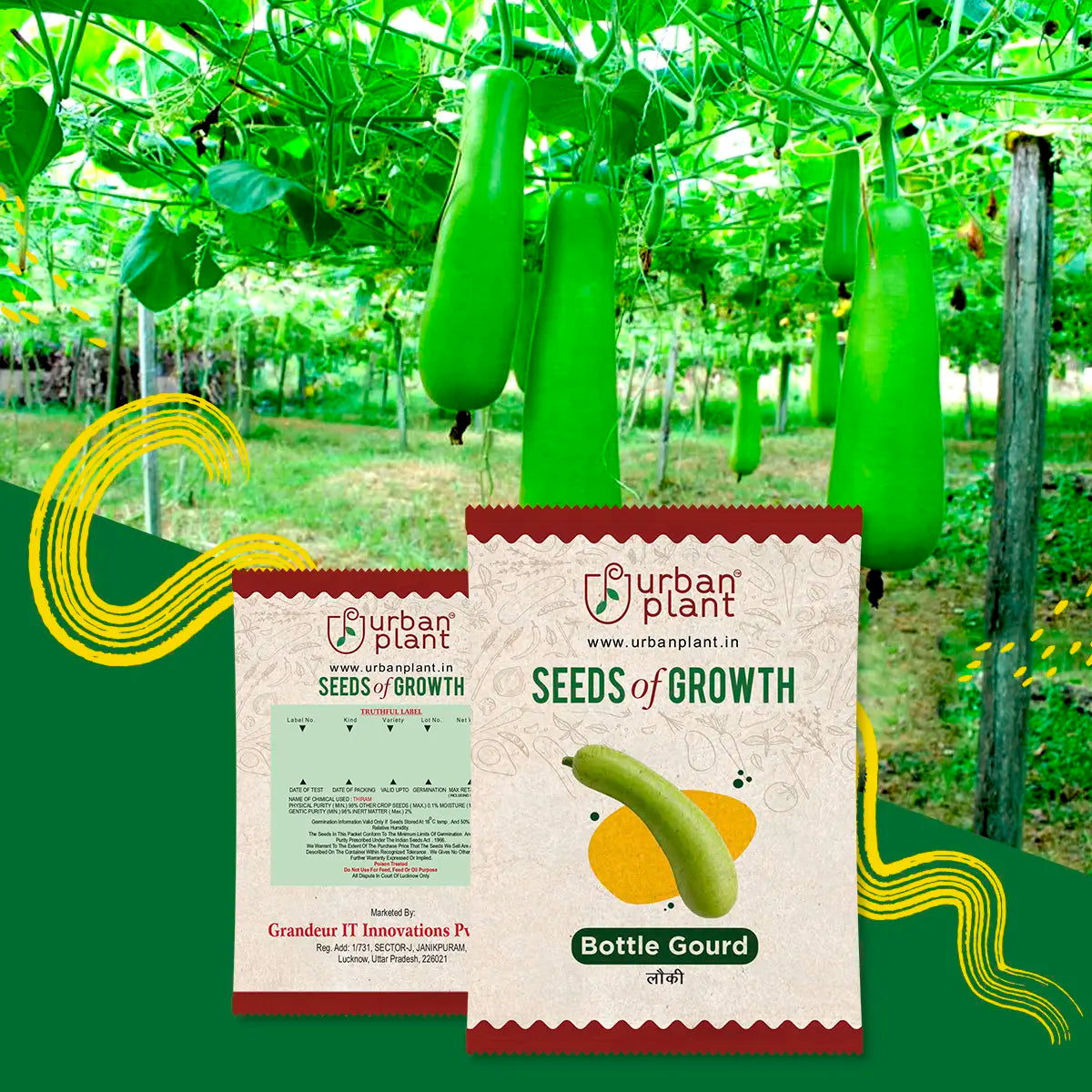 Bottle Gourd Seeds Urban Plant 